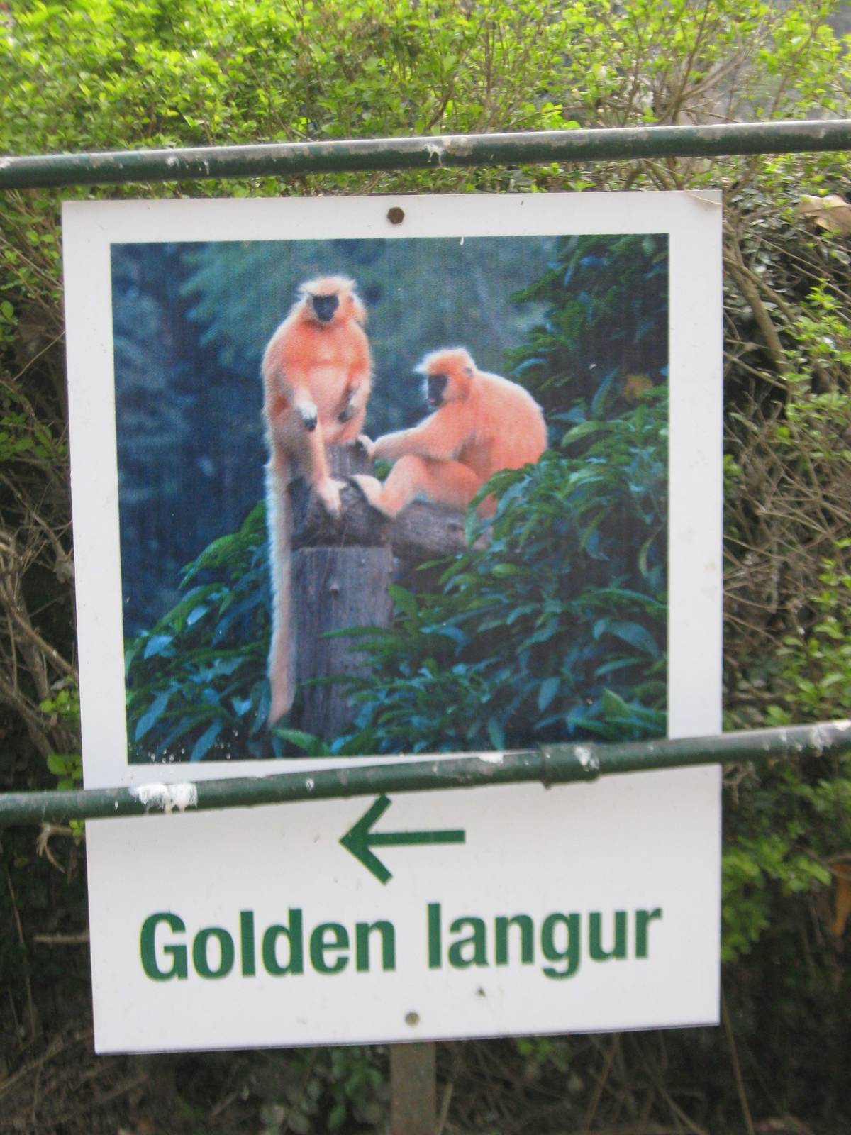 the first sign inside the zoo!