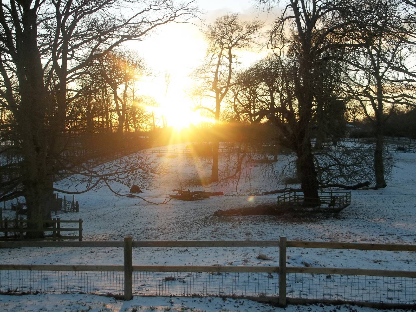 The first snow of winter, 3rd February 2015