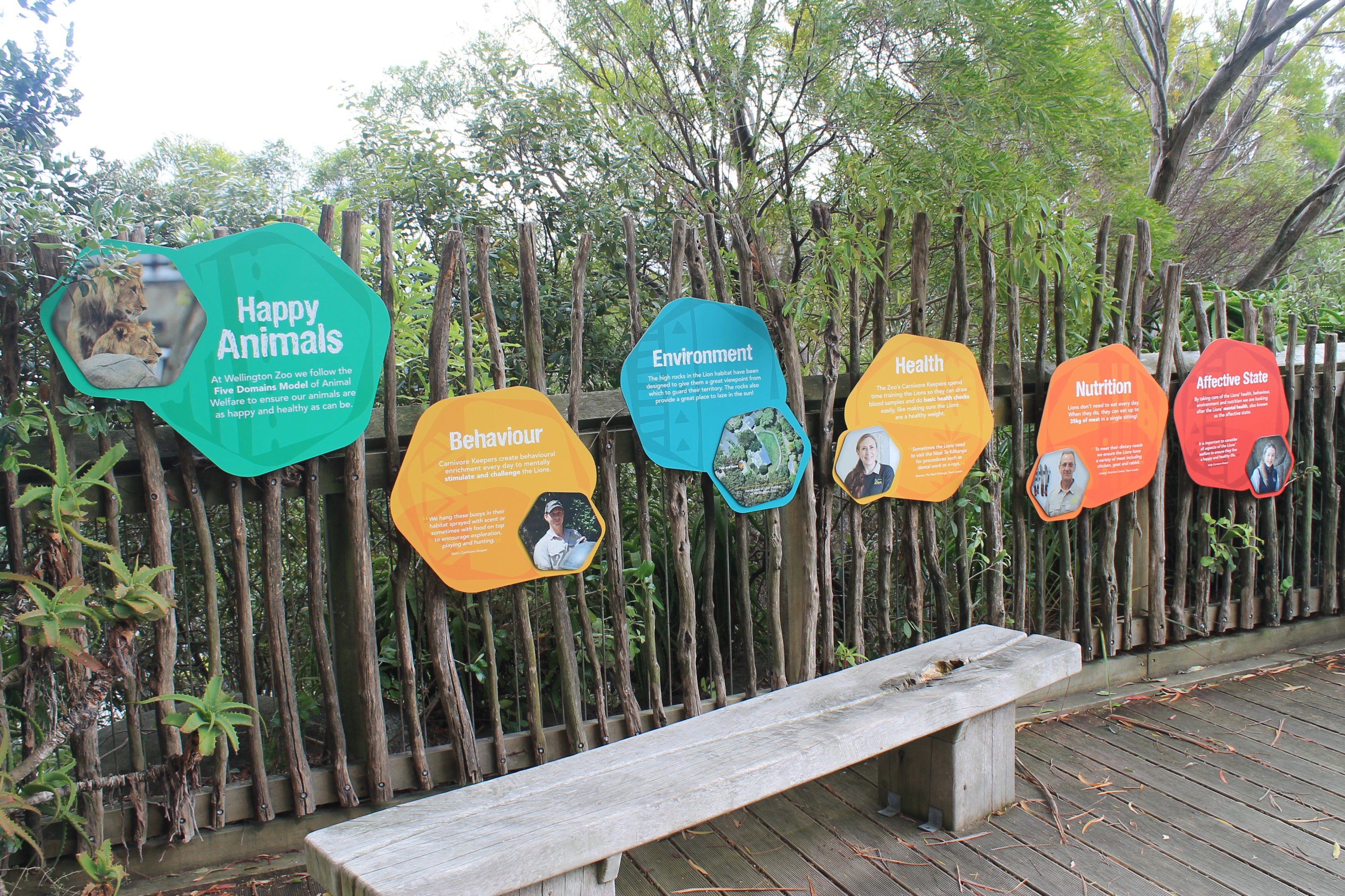 The Five Domains (for lions)