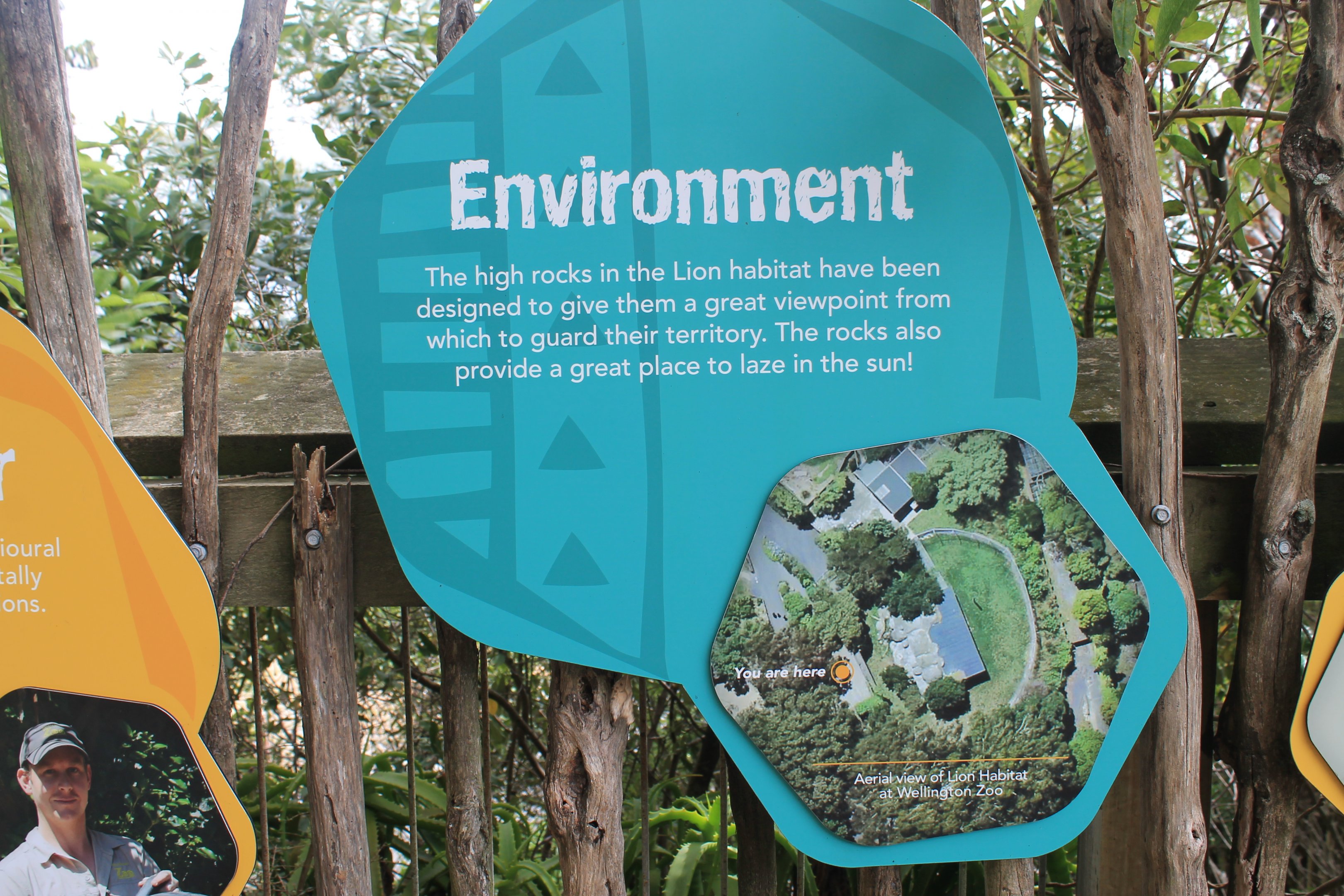 The Five Domains (for lions)