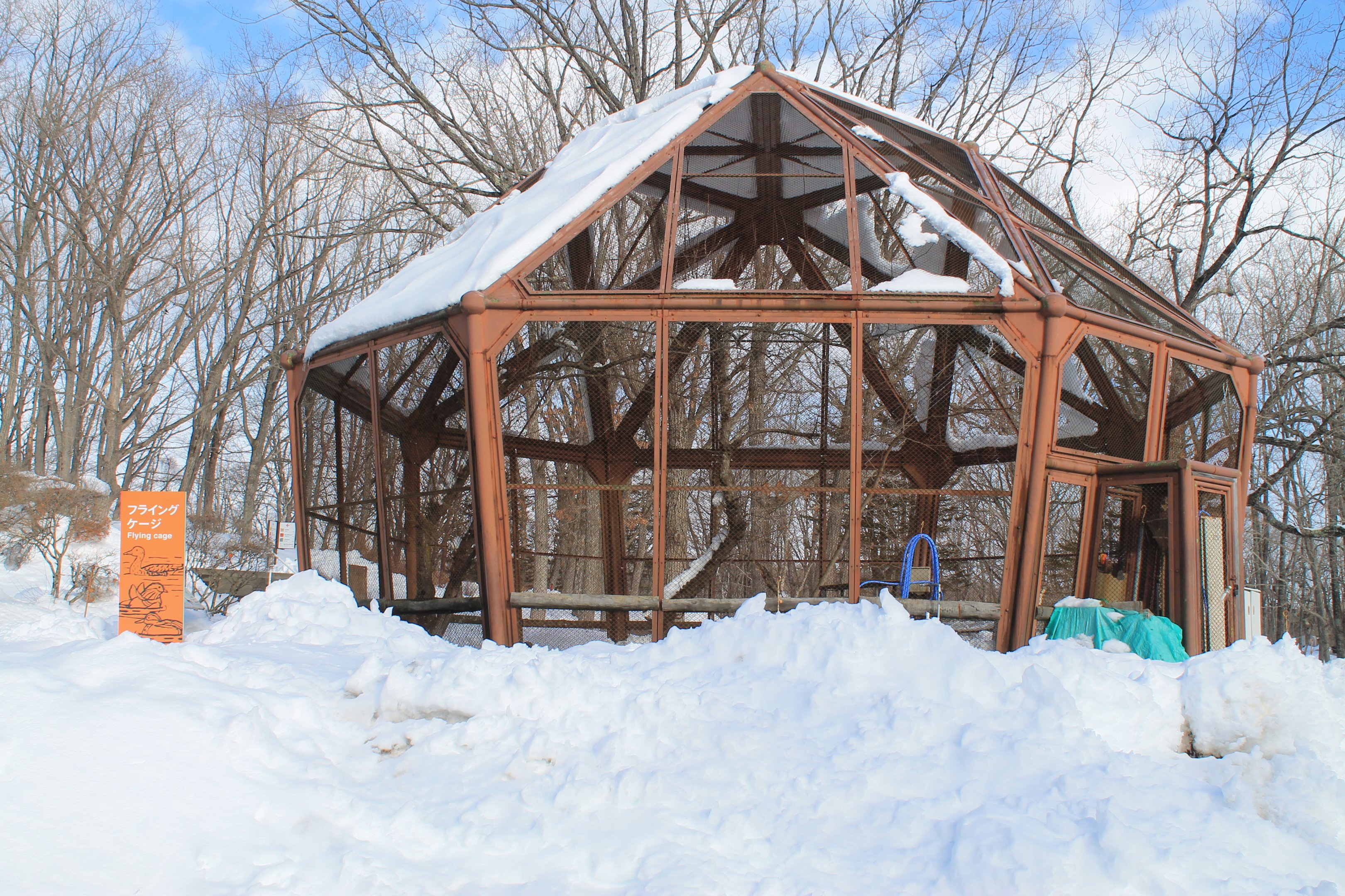The Flying Cage (for waterfowl), Kushiro Zoo