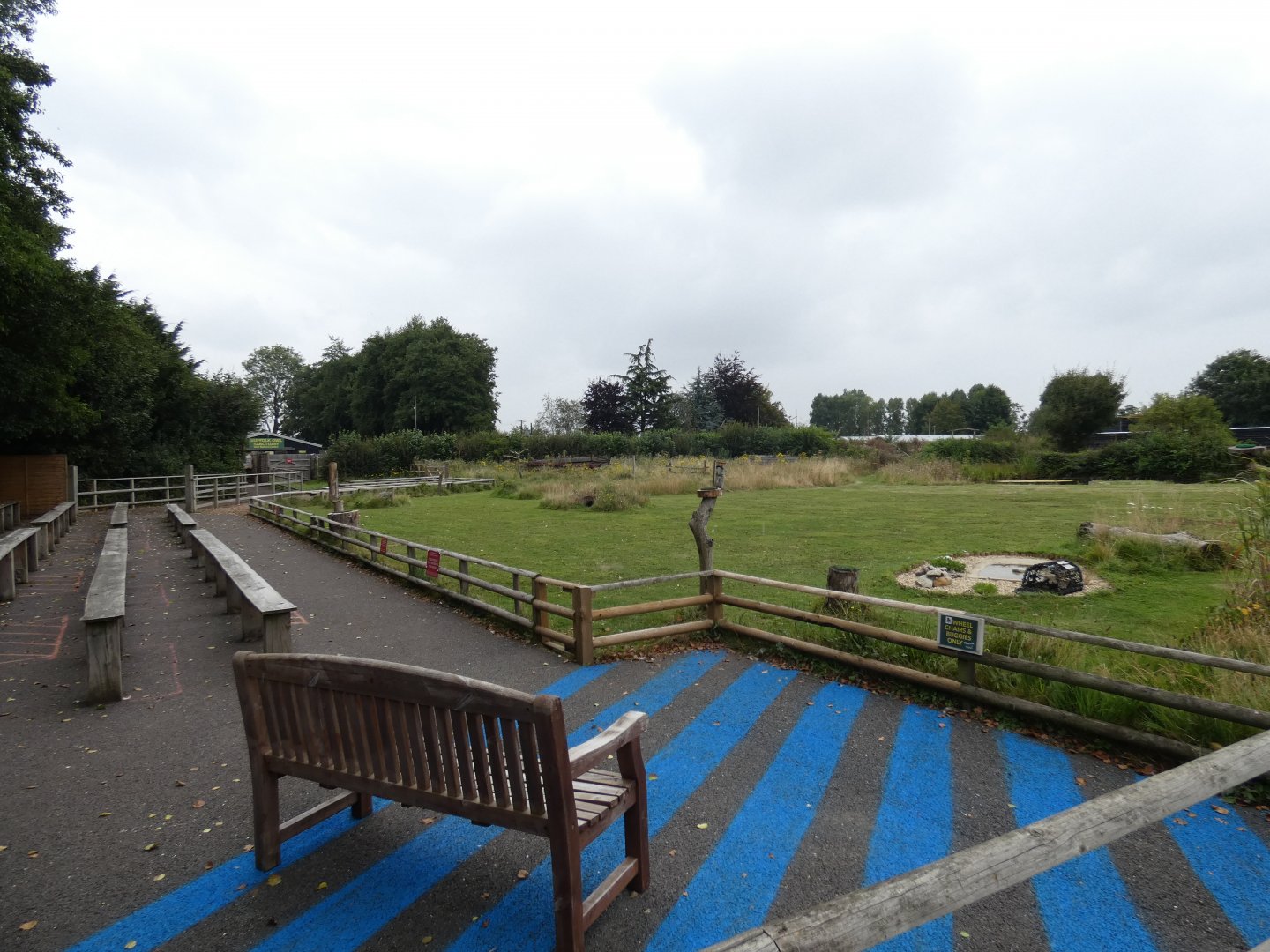 The Flying ground (Suffolk Owl Sanctuary)