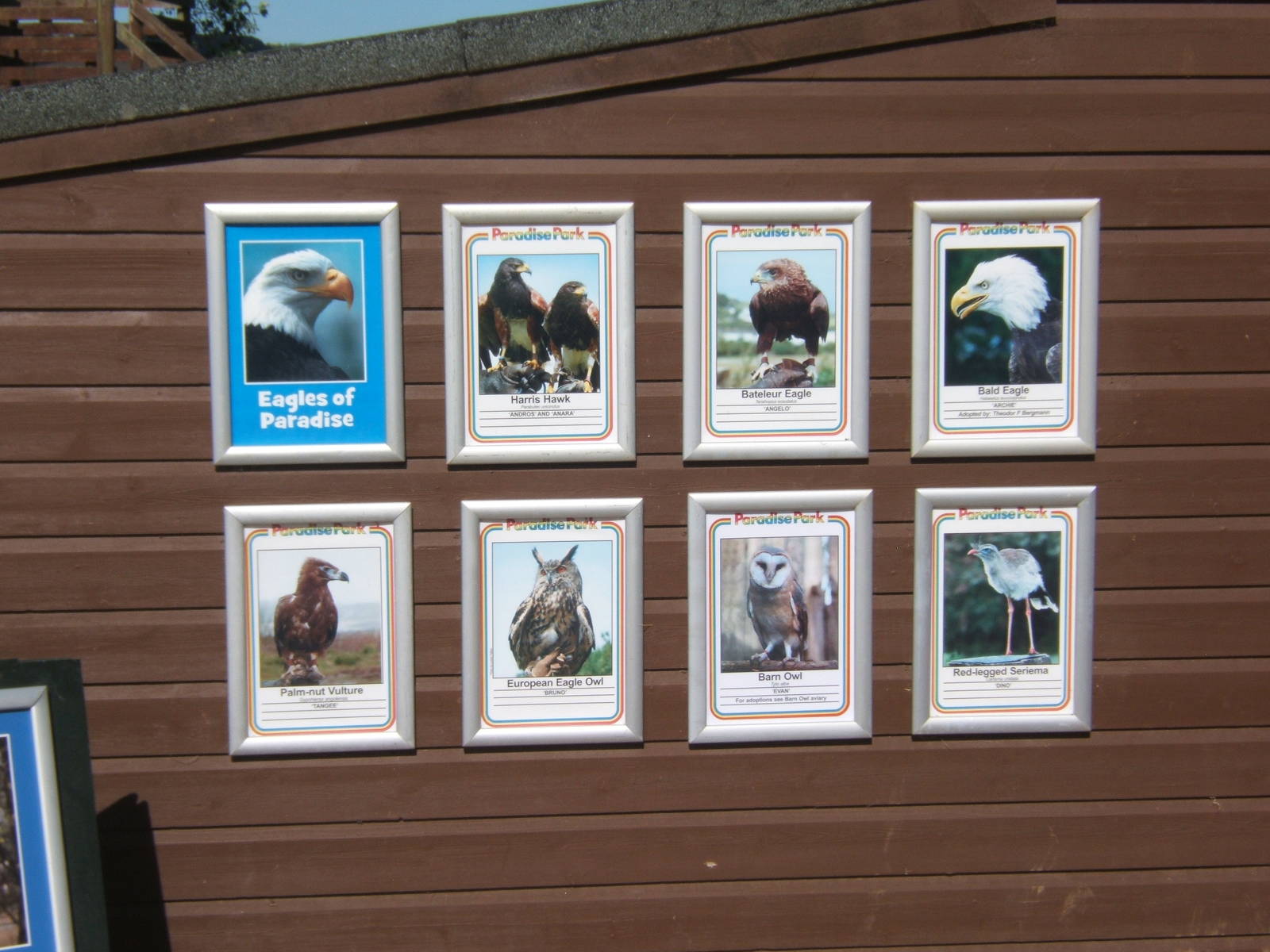 The Flying squad whos who