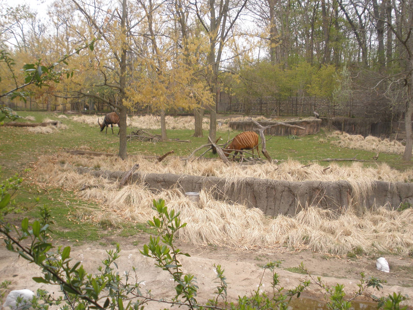The Forest Edge Mixed exhibit