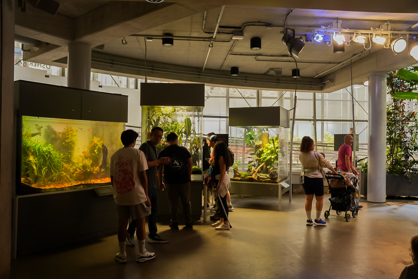 "The Forest Floor" (Osher Rainforest Dome)