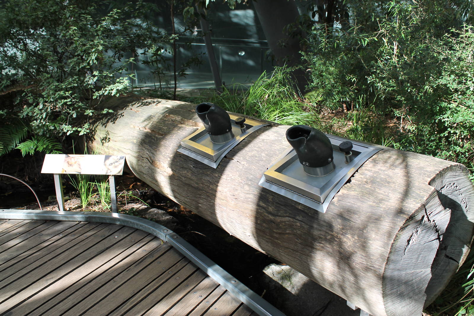 The Forest Gallery, bug log