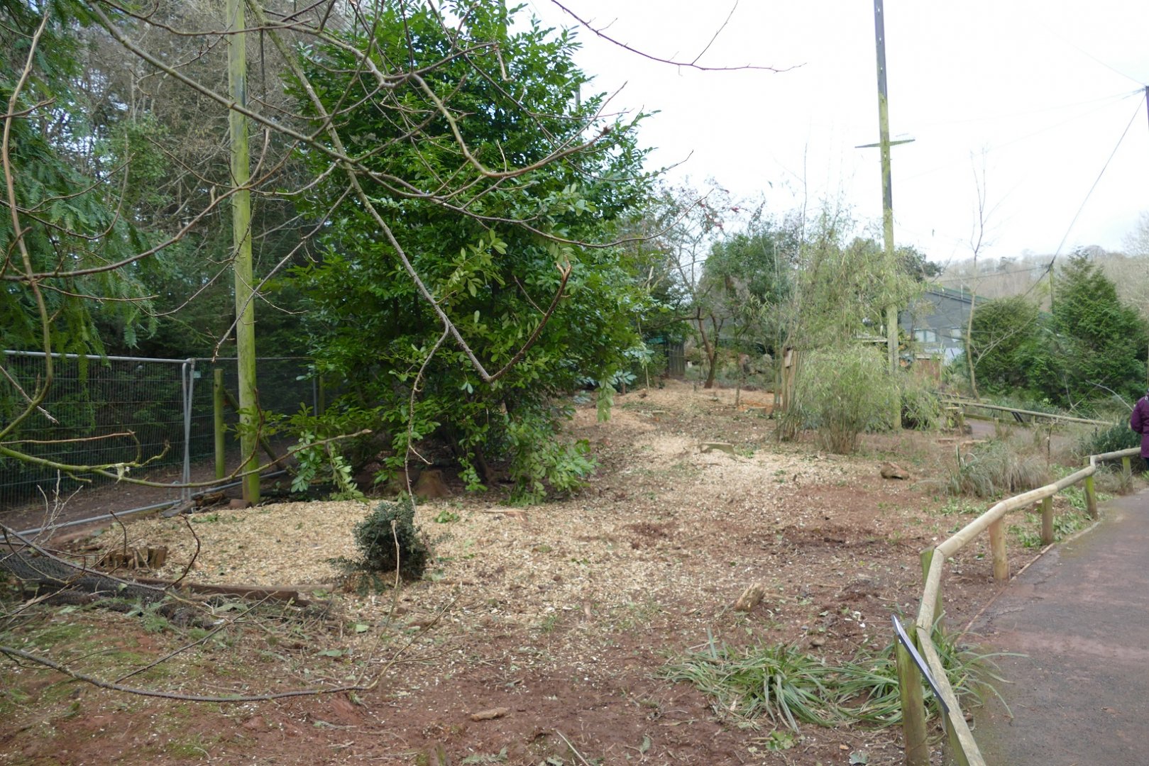 The former Brookside Aviary, February 2022