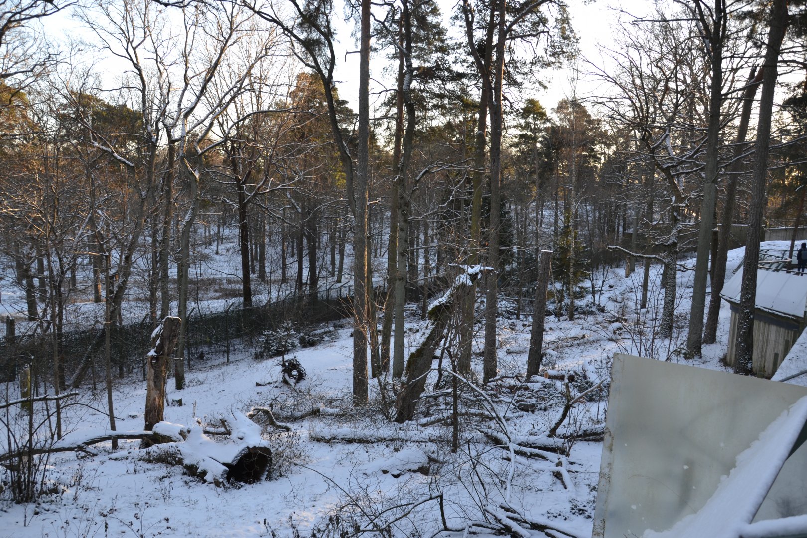 The former wolf enclosure at Skansen, Stockholm