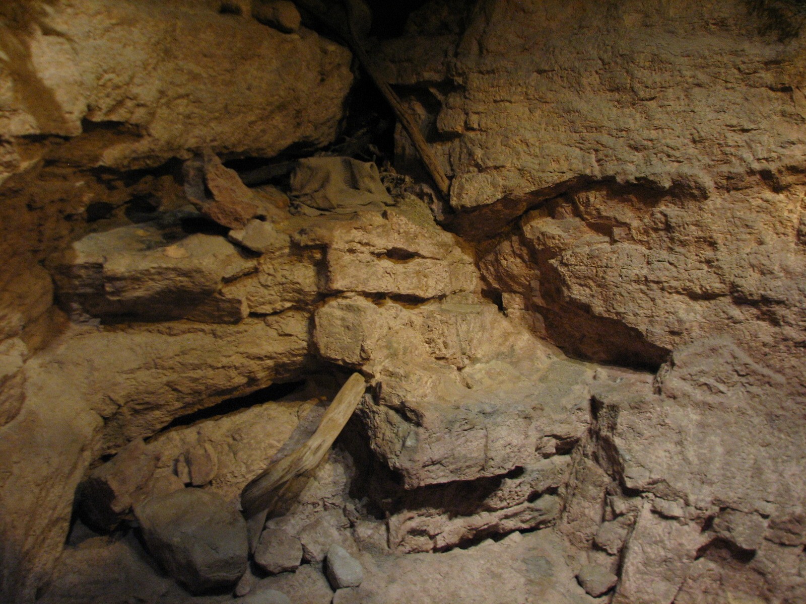 The Fragile Desert - Caracal Exhibit