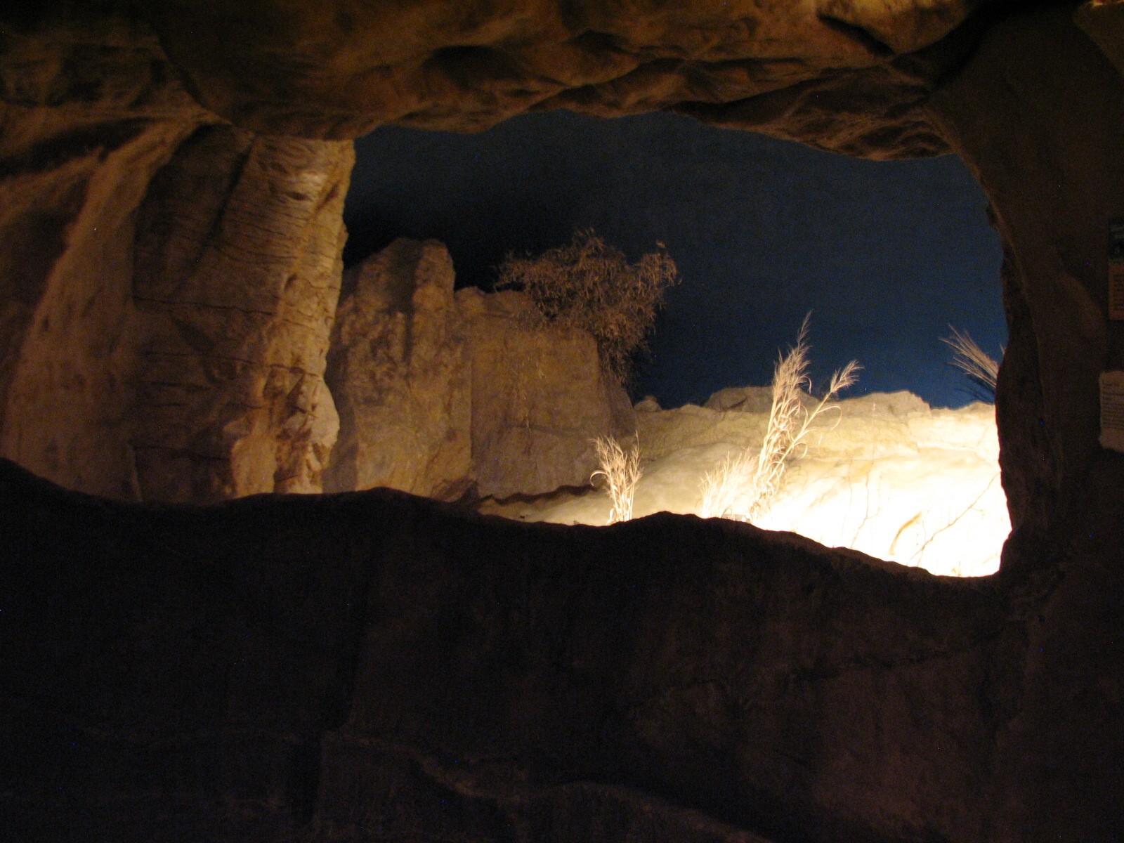 The Fragile Desert - Fennec Fox Exhibit Viewing Area