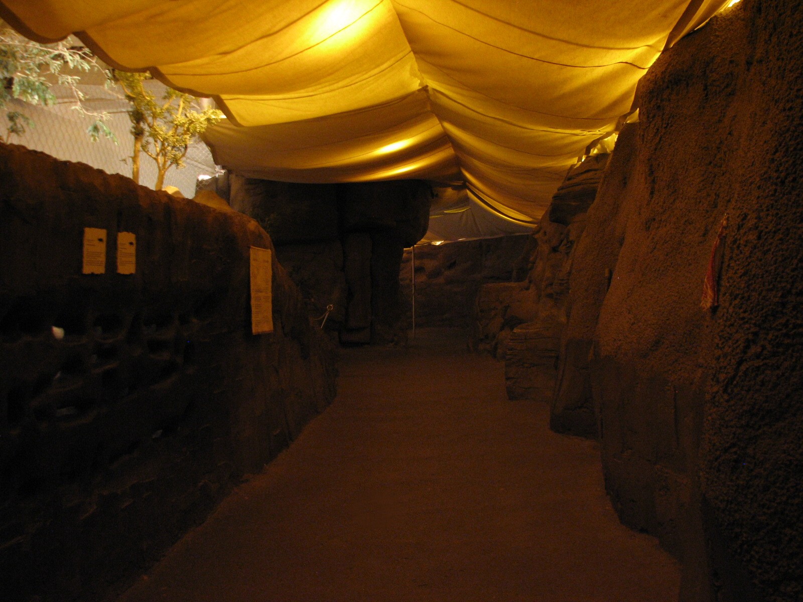 The Fragile Desert - Naked Mole Rat Exhibit Viewing Area