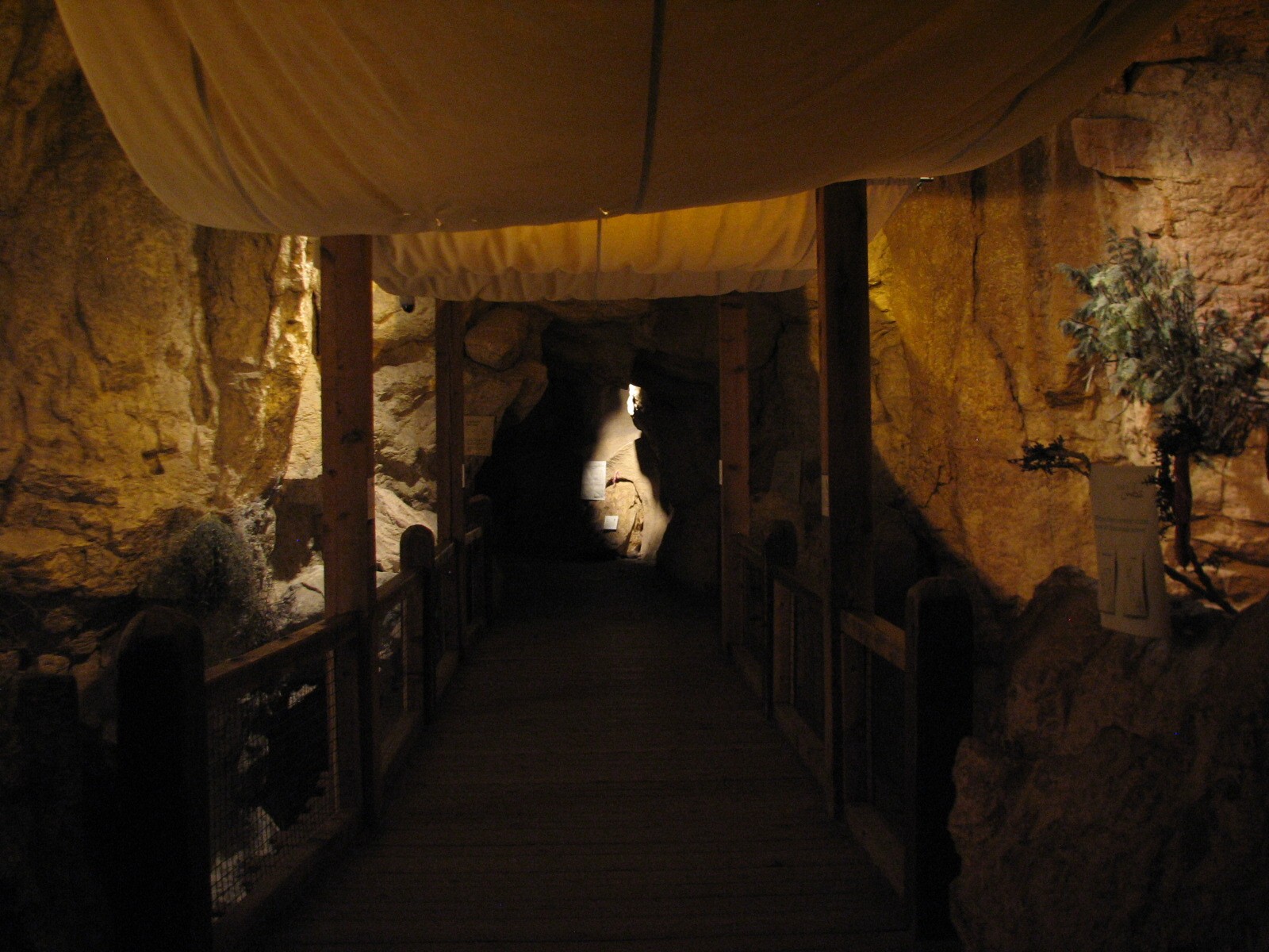 The Fragile Desert - Rock Hyrax and Caracal Exhibits Viewing Bridge