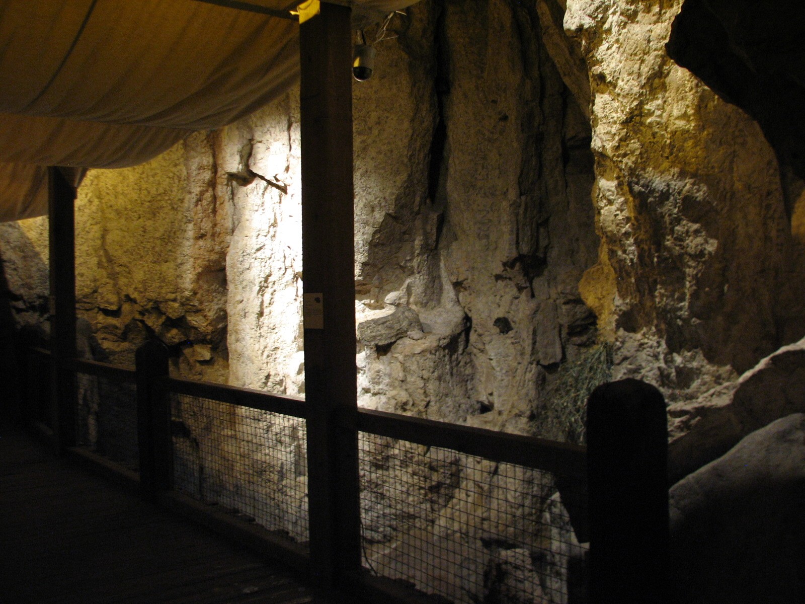 The Fragile Desert - Rock Hyrax Exhibit Viewing Area