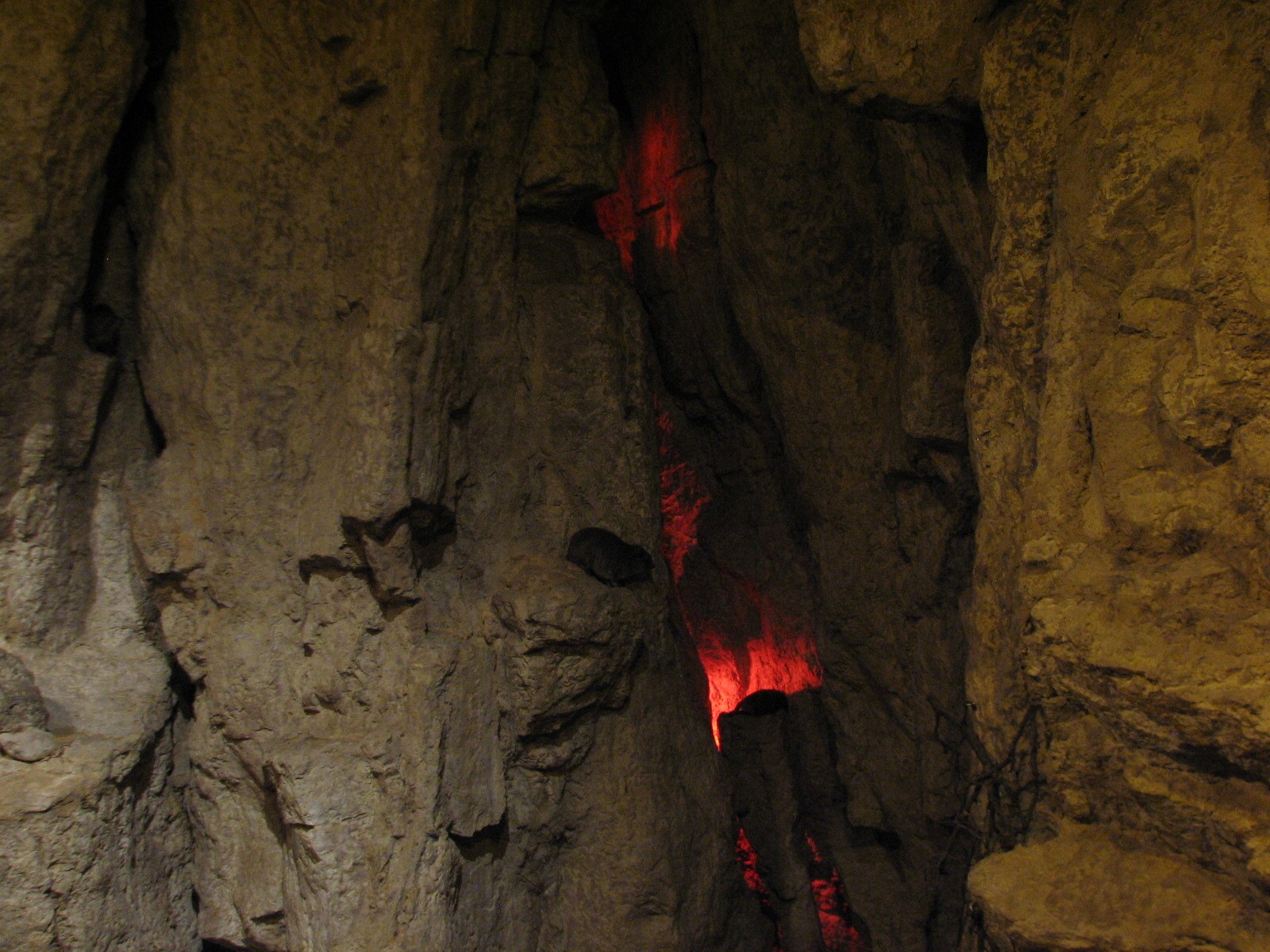 The Fragile Desert - Rock Hyrax Exhibit