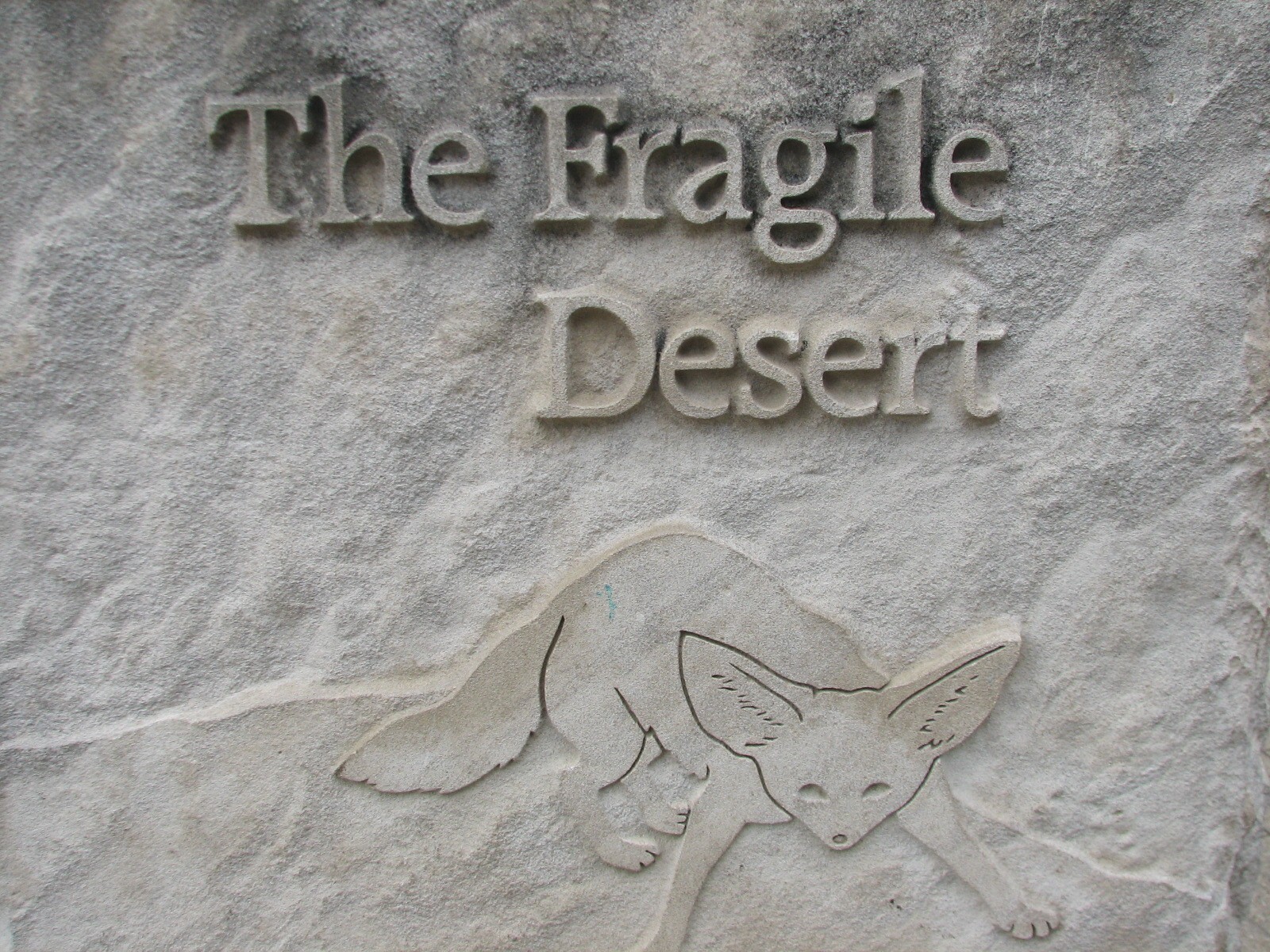 The Fragile Desert - Sign