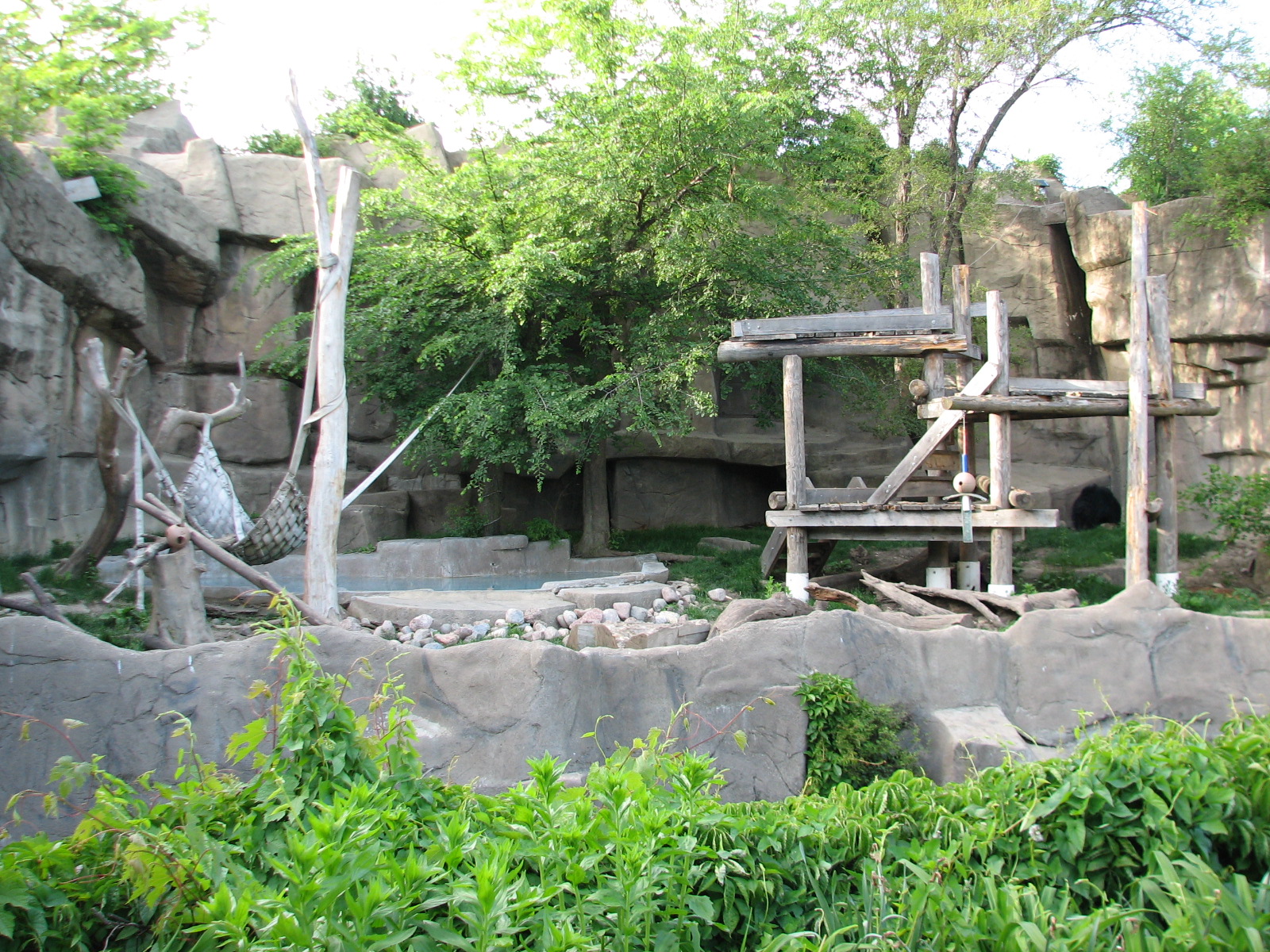 The Fragile Hunters - Sloth Bear Exhibit