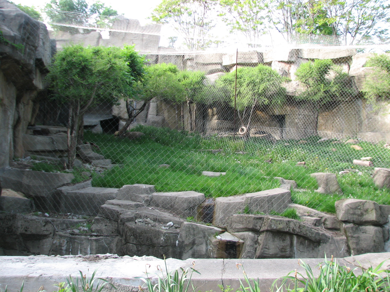 The Fragile Hunters - Snow Leopard Exhibits