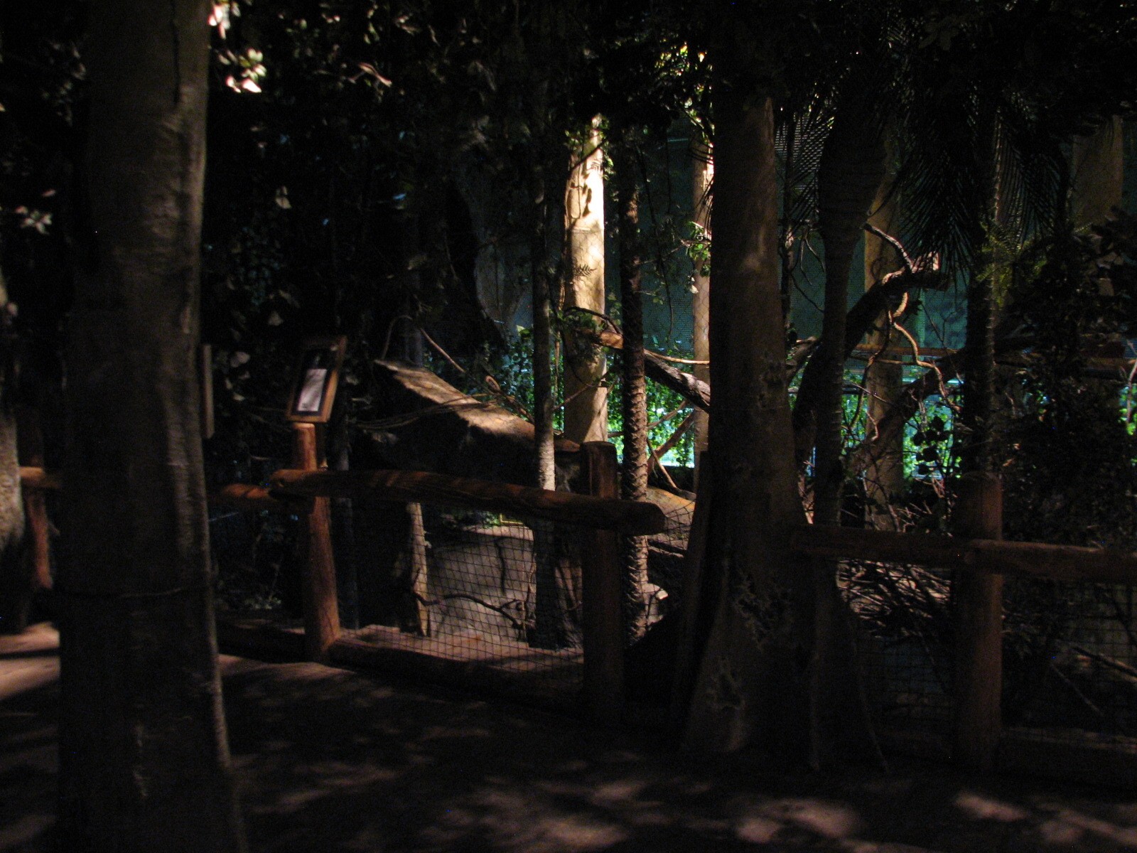 The Fragile Rain Forest - Clouded Leopard Exhibit Viewing Area