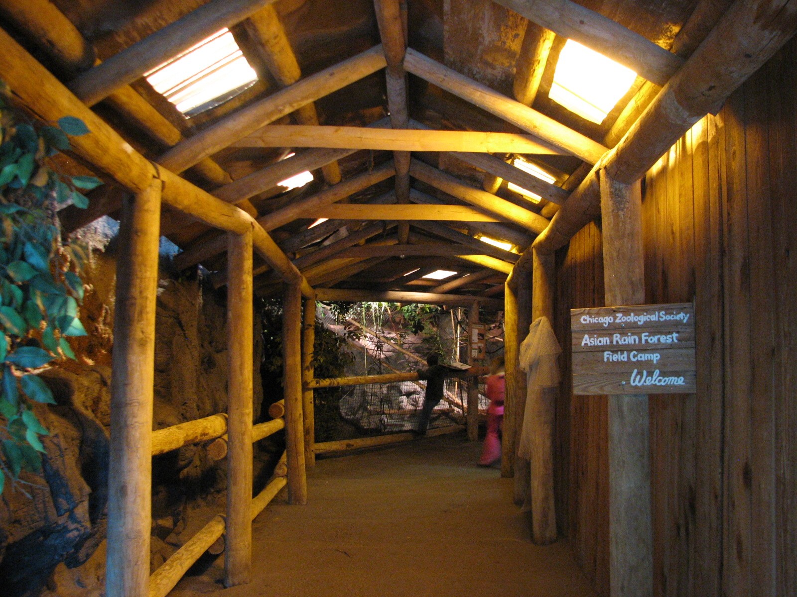 The Fragile Rain Forest - Entry