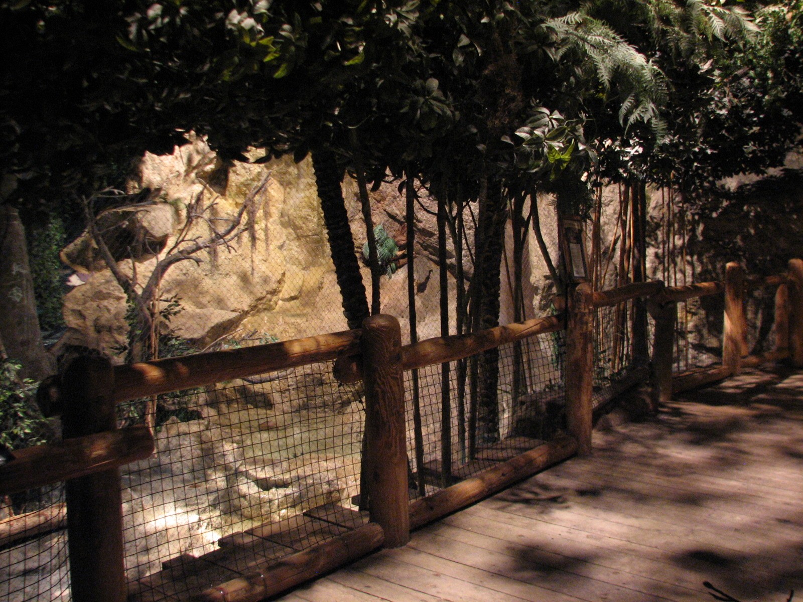 The Fragile Rain Forest - Fishing Cat Exhibit Viewing Area
