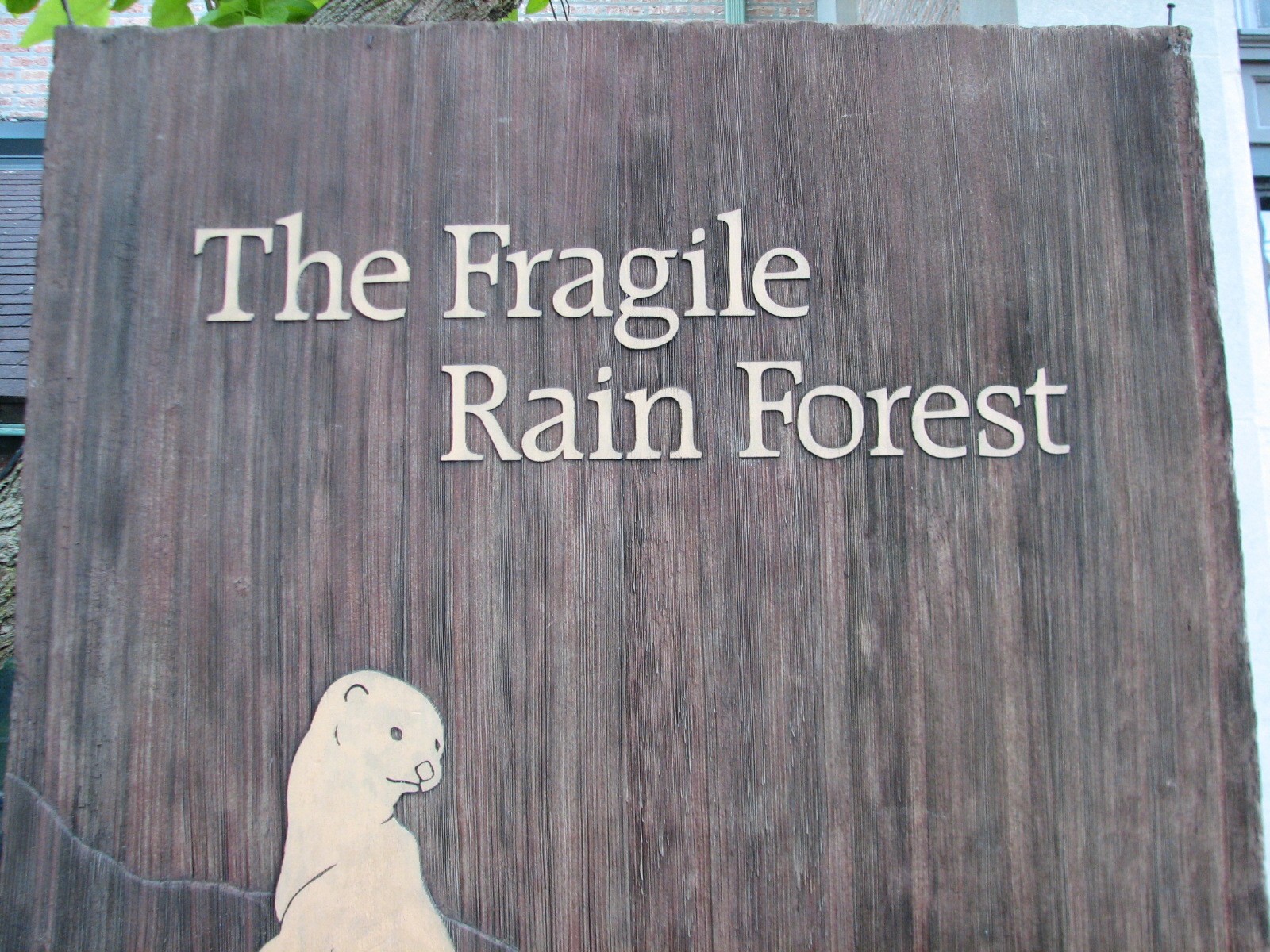 The Fragile Rain Forest - Sign