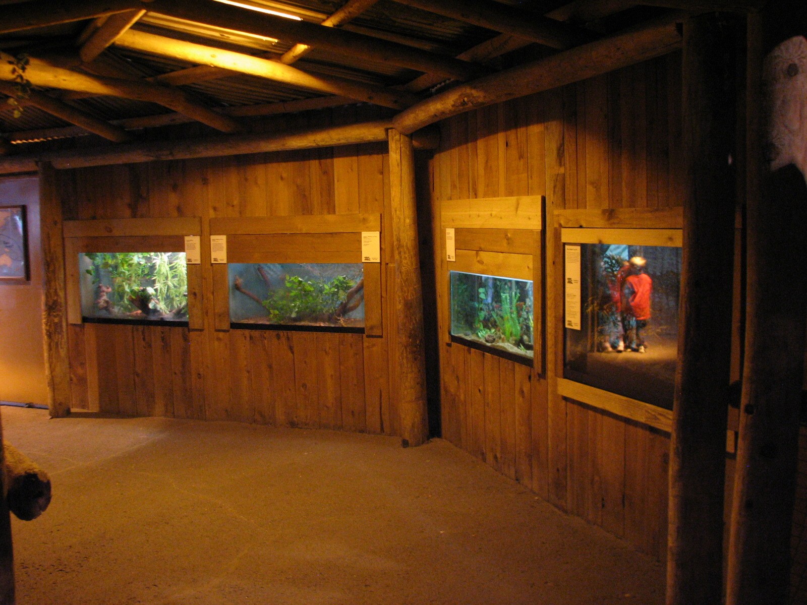 The Fragile Rain Forest - Terrariums