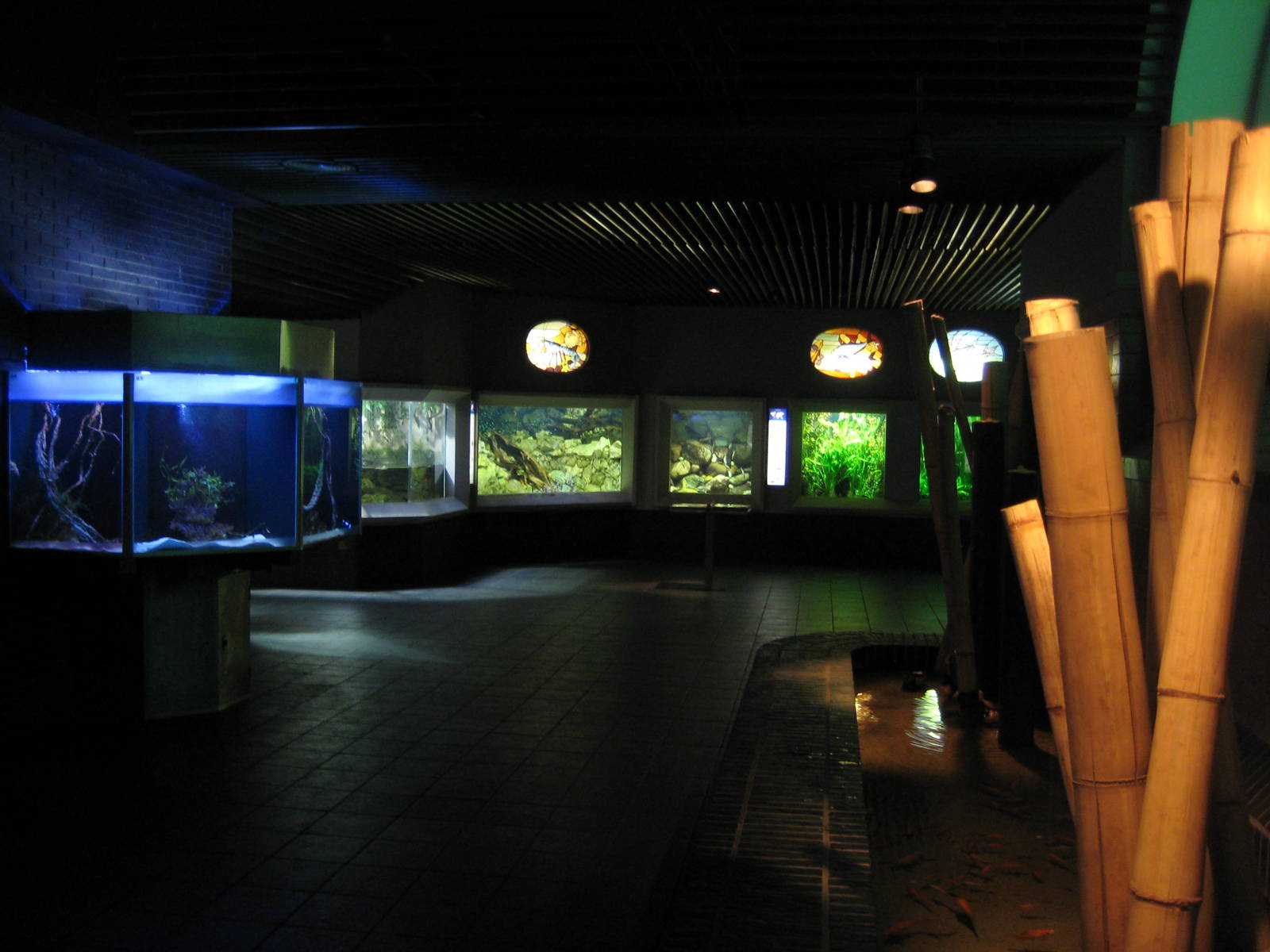 The Freshwater Section in the aquarium