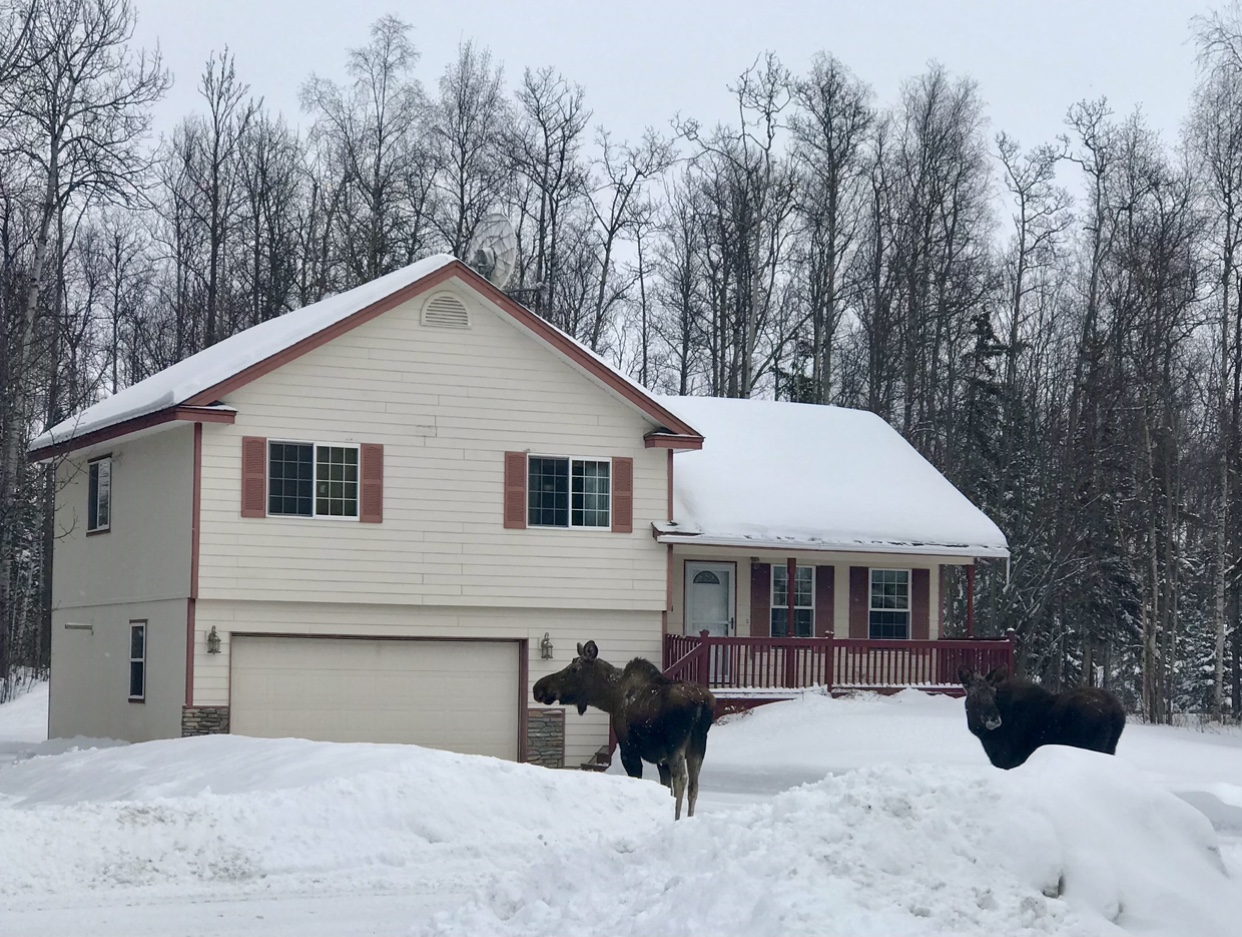 The Front Drive - Alaska