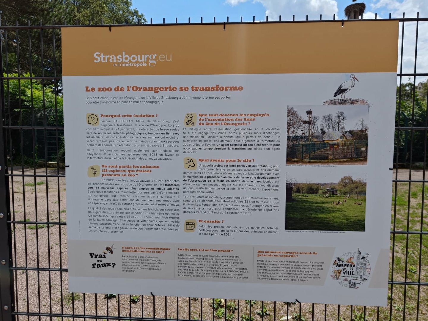 The future of the Zoo de l'Orangerie