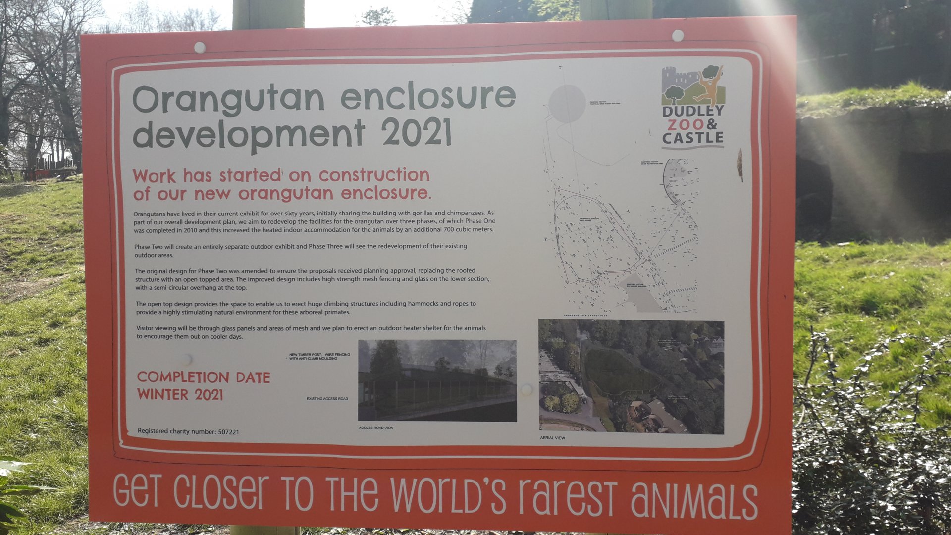 The Future Orangutan Enclosure