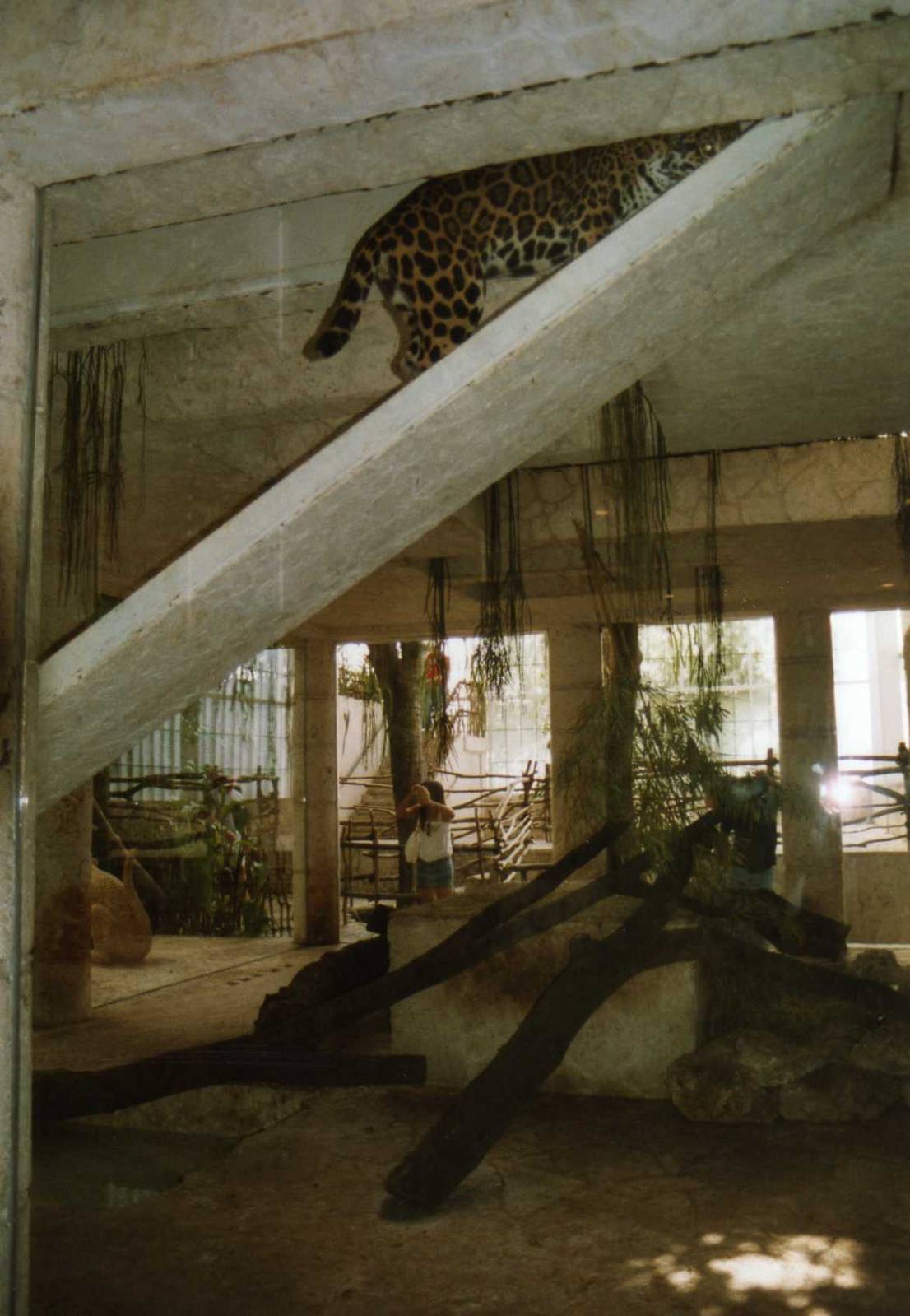 The Gangway to Freedom