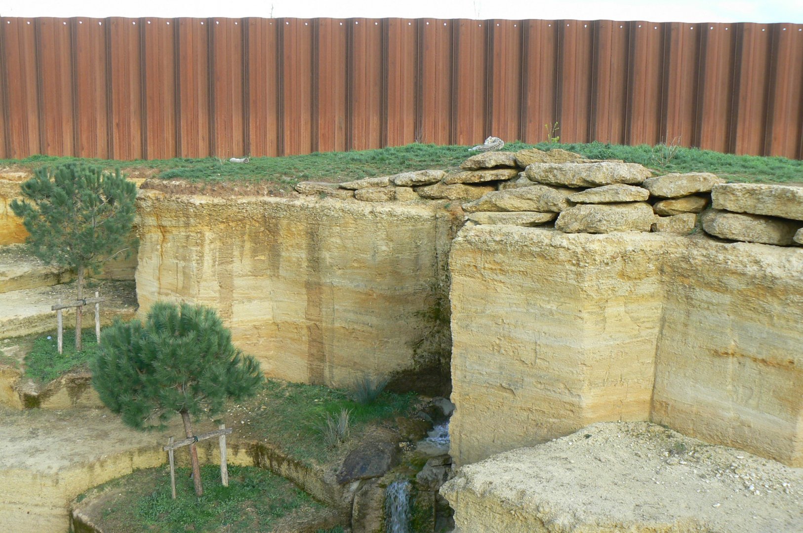The ghosts of the Himalayas - Snow leopards enclosure