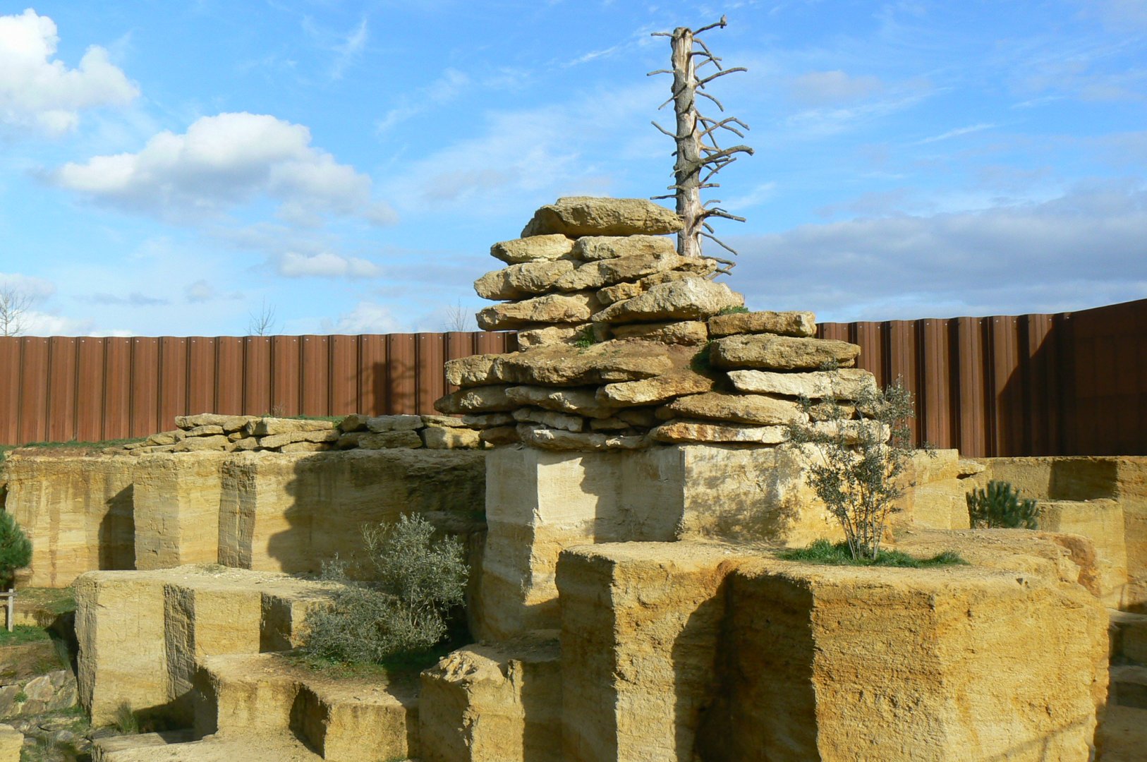 The ghosts of the Himalayas - Snow leopards enclsoure