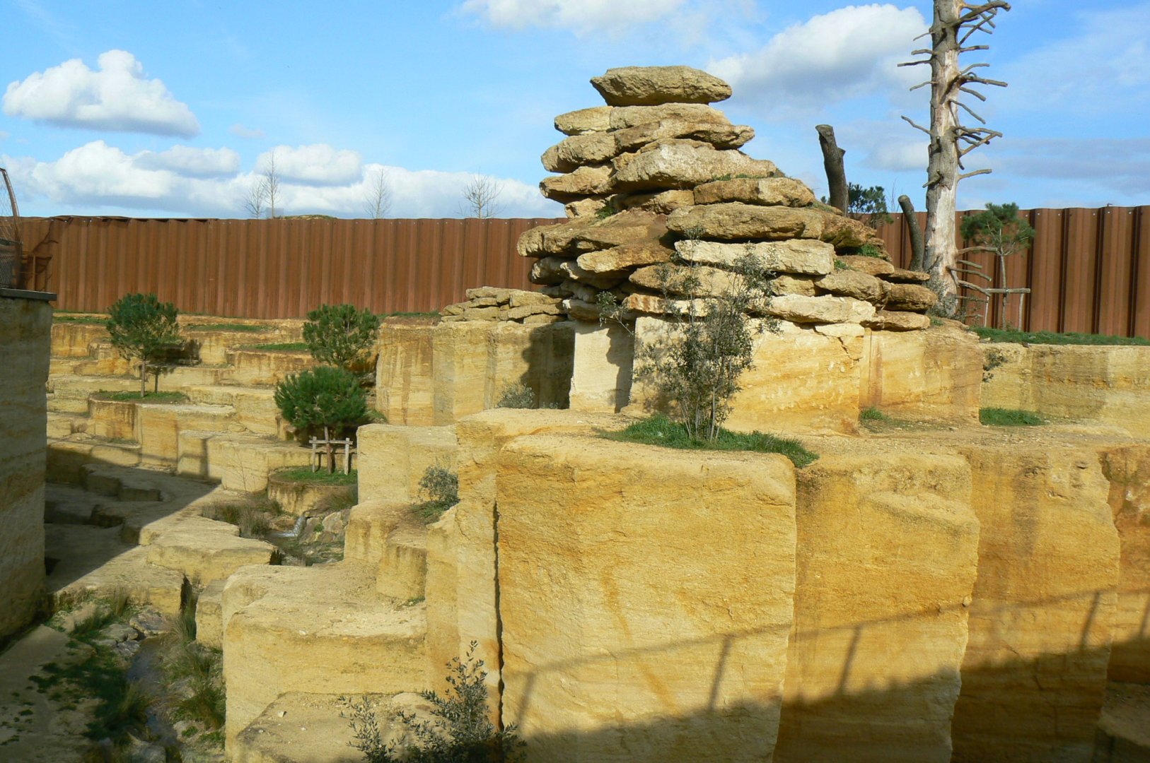 The ghosts of the Himalayas - Snow leopards enclsoure