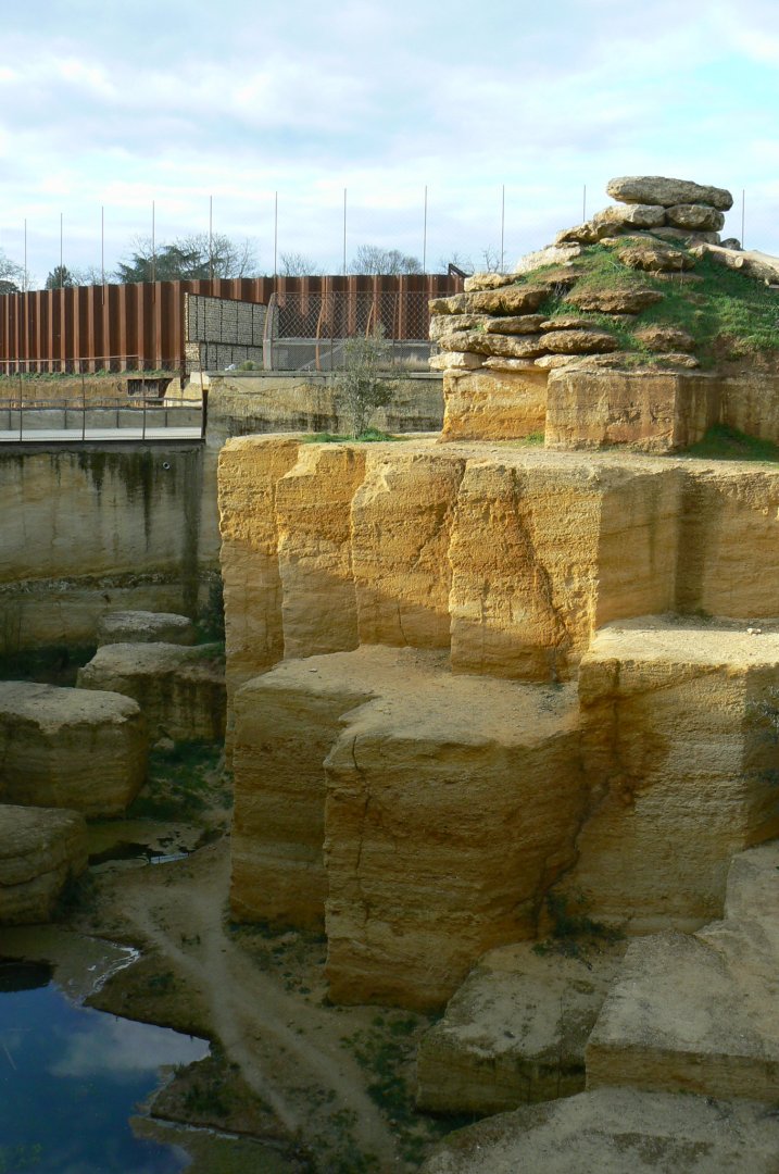 The ghosts of the Himalayas - Snow leopards enclsoure