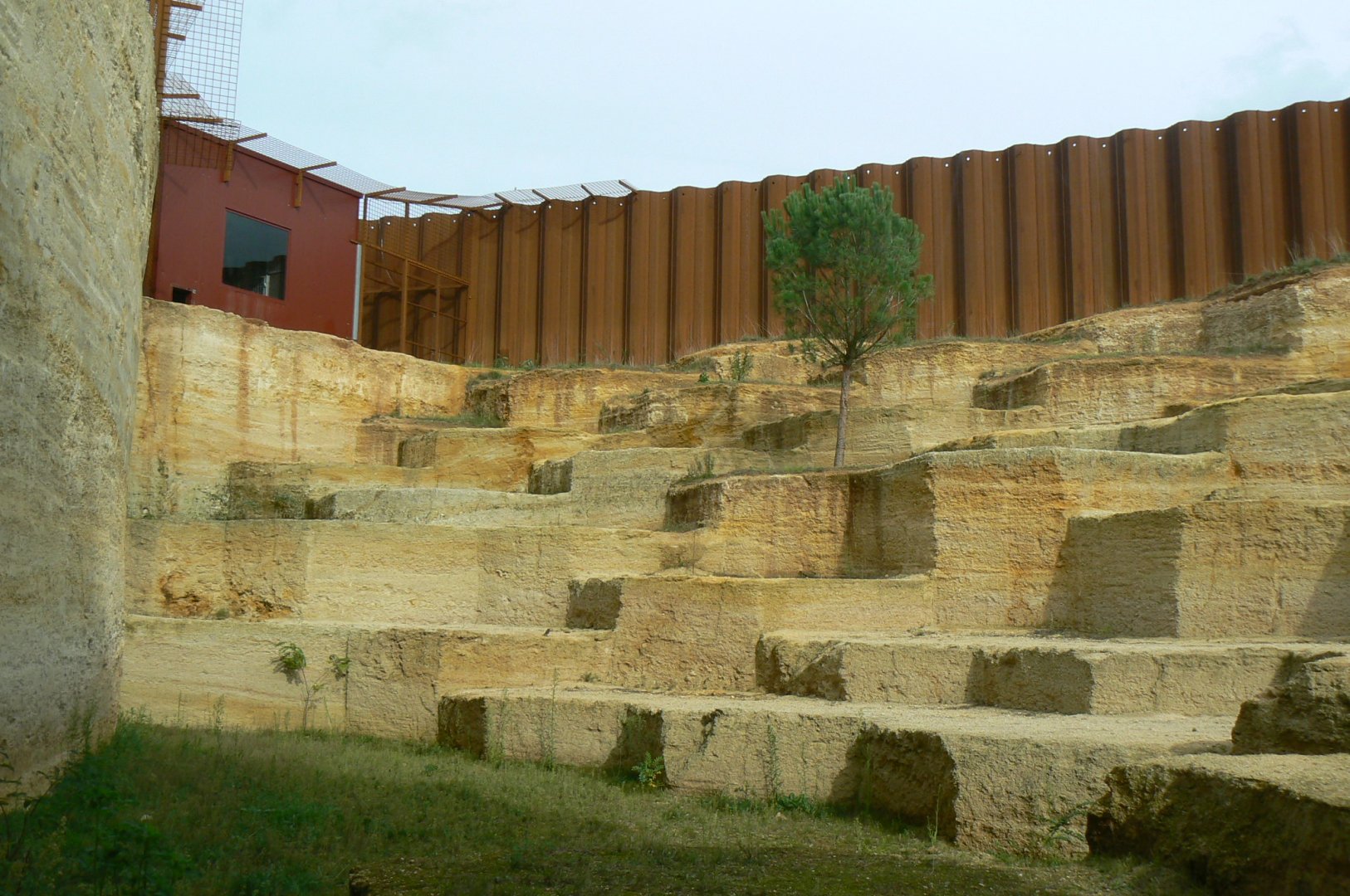 The ghosts of the Himalyas - Snow leopard enclosure