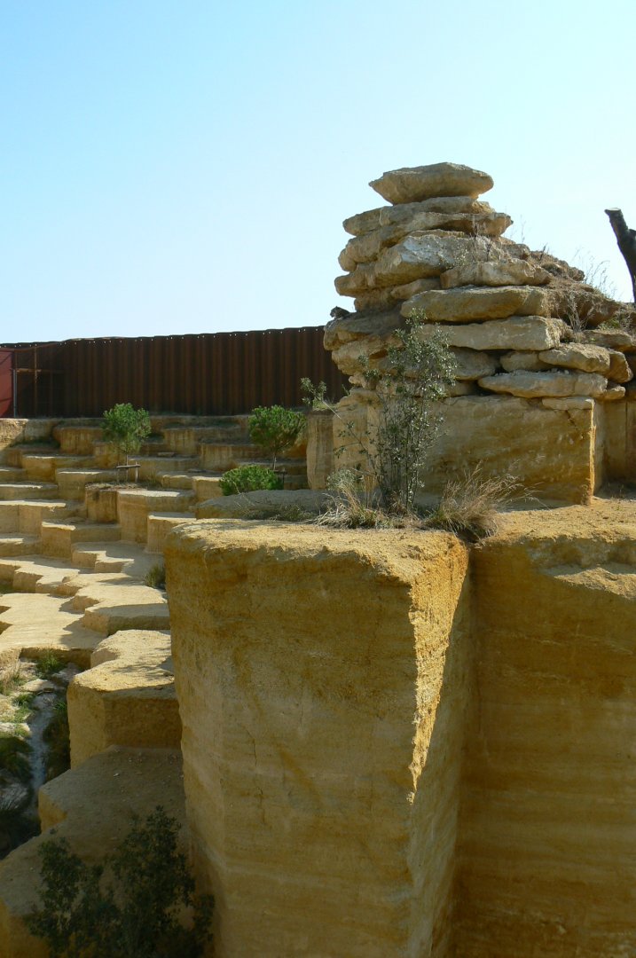 The ghosts of the Himalyas - Snow leopards enclosure