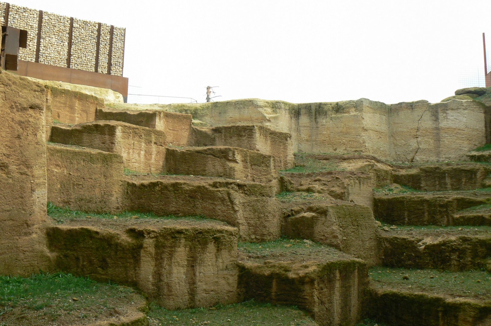 The ghosts of the Himalyas - Tajik markhors and himalyan tahrs exhibit