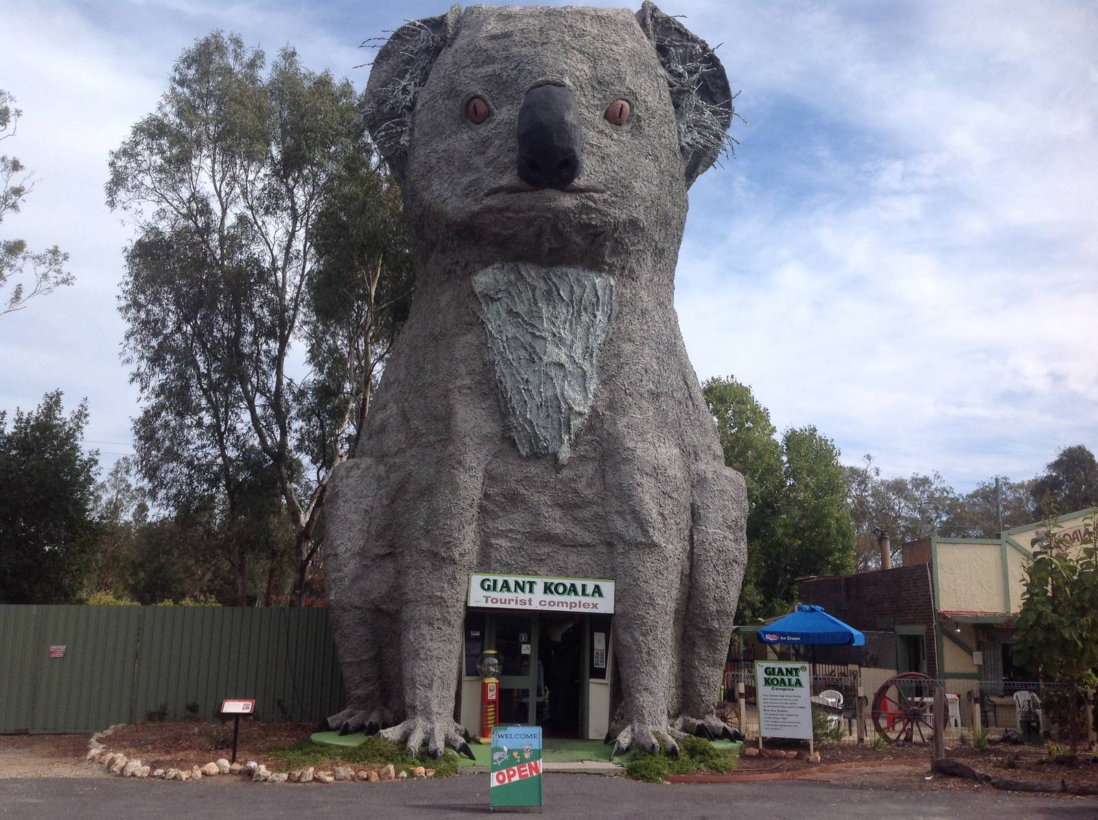 The Giant Koala