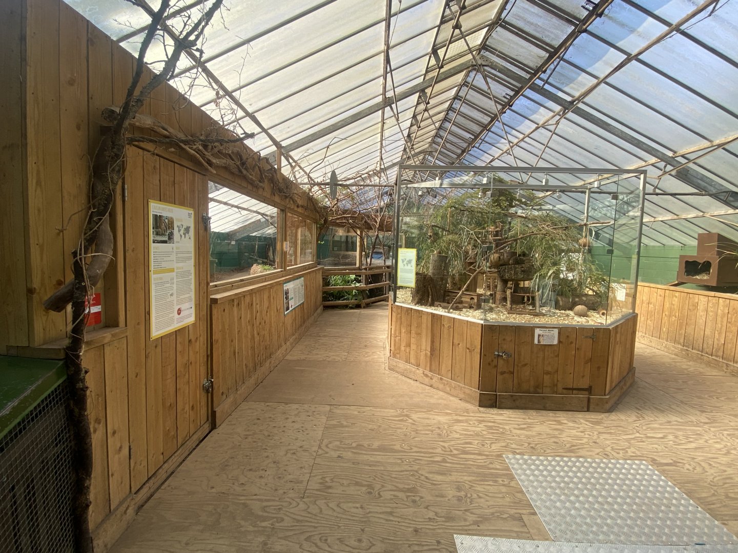 The Glass House 130924