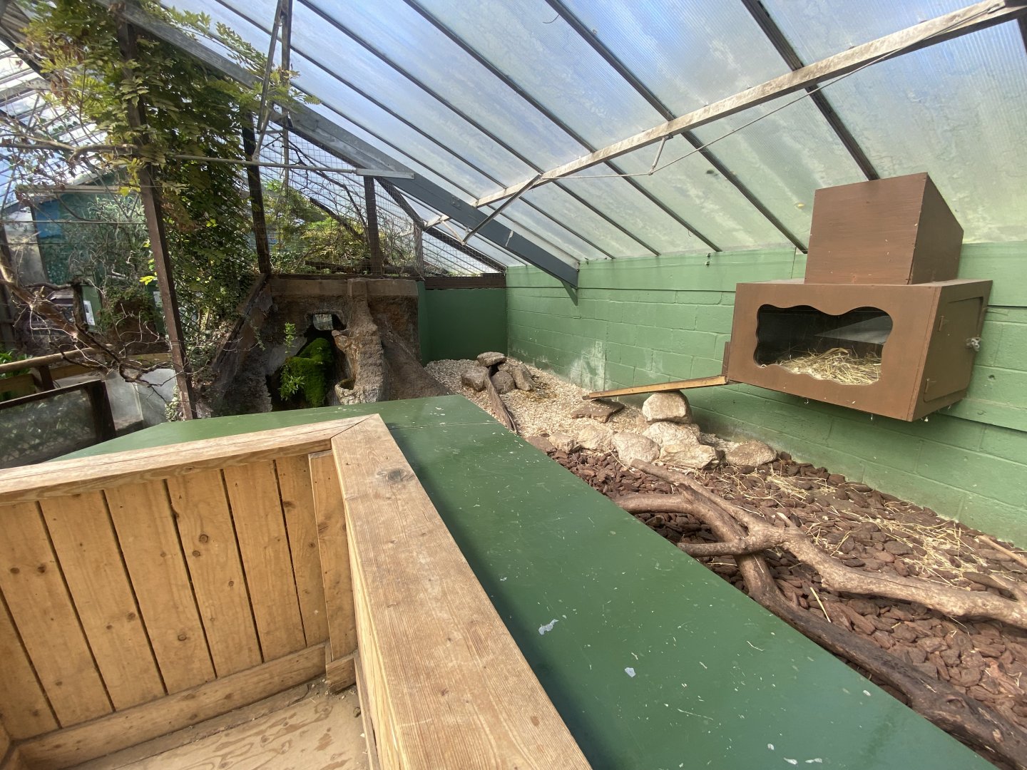 The Glass House - Asian small-clawed otter indoors 130924