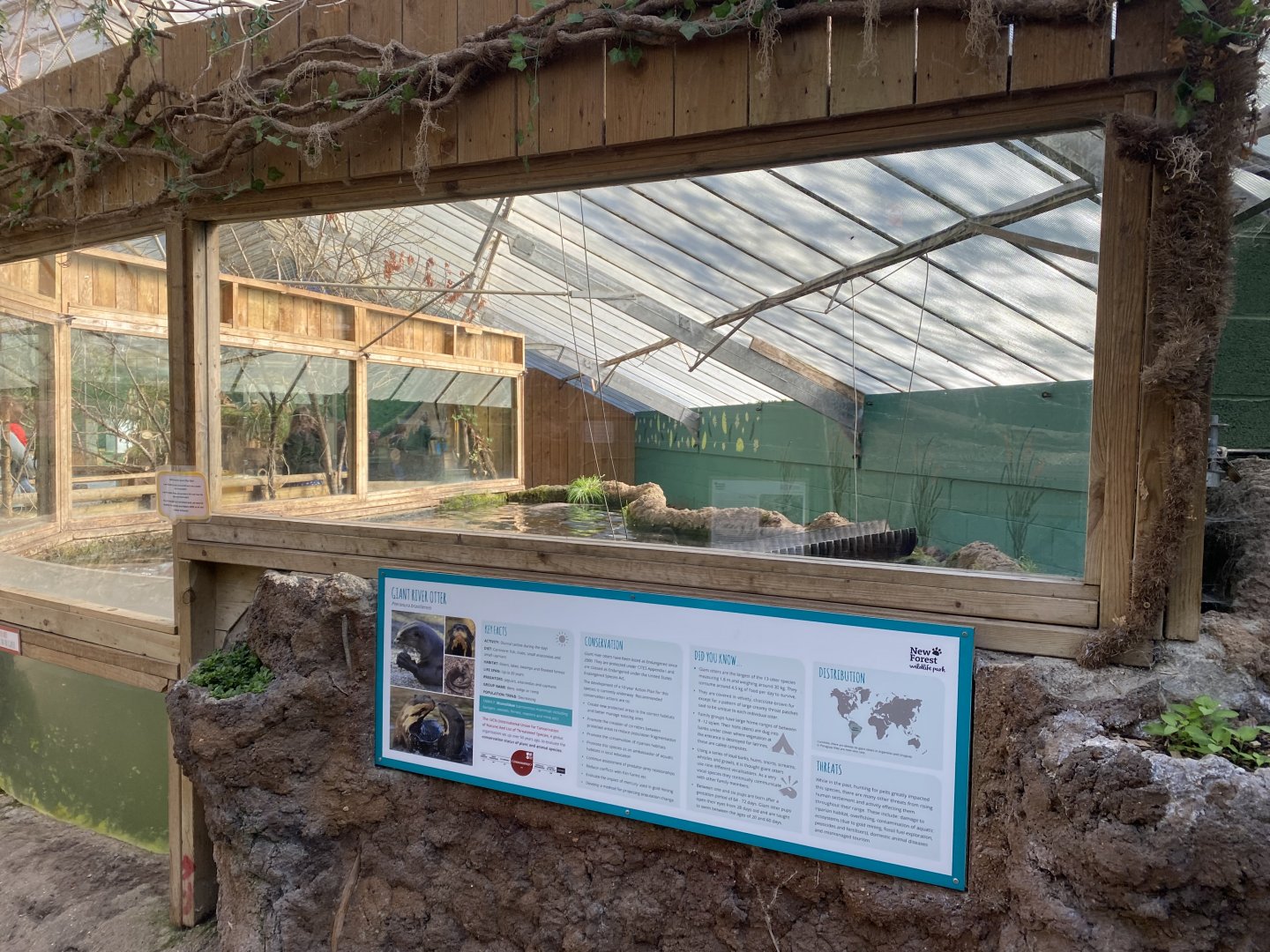 The Glass House - Giant otter indoors 130924