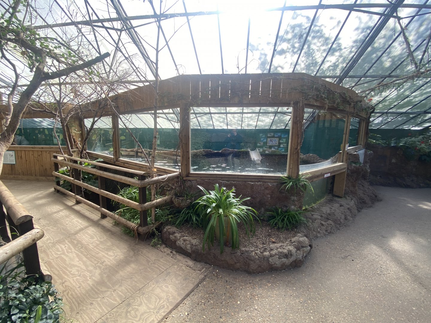 The Glass House - Giant otter indoors 130924