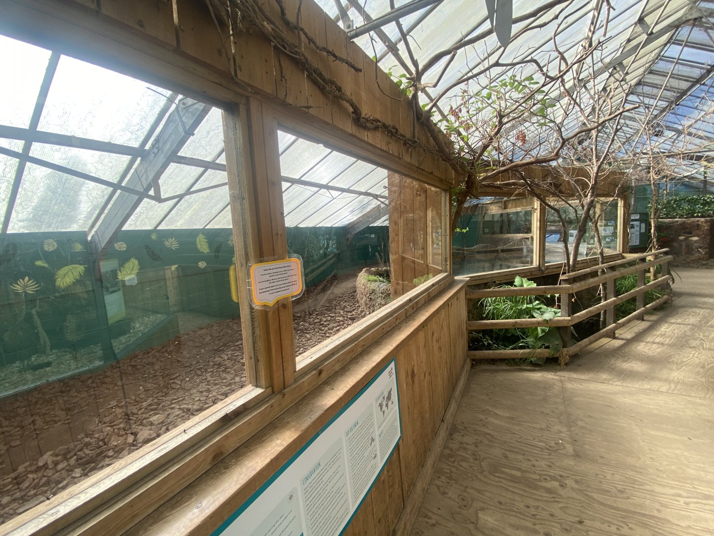 The Glass House - Giant otter indoors 130924