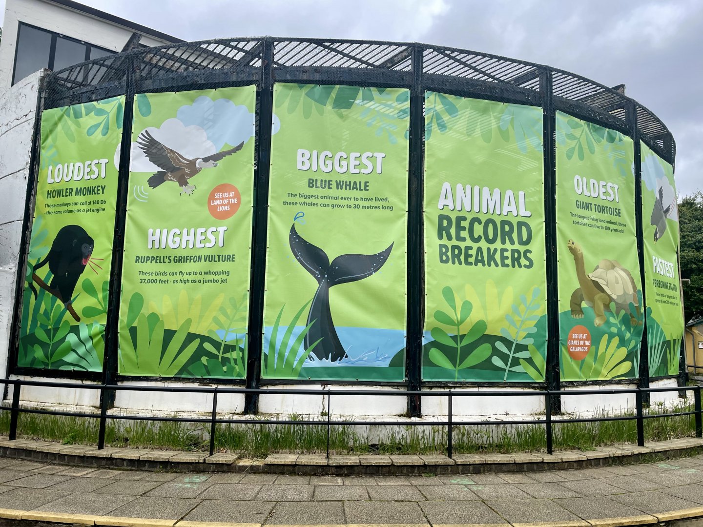 The Gorilla/Round House