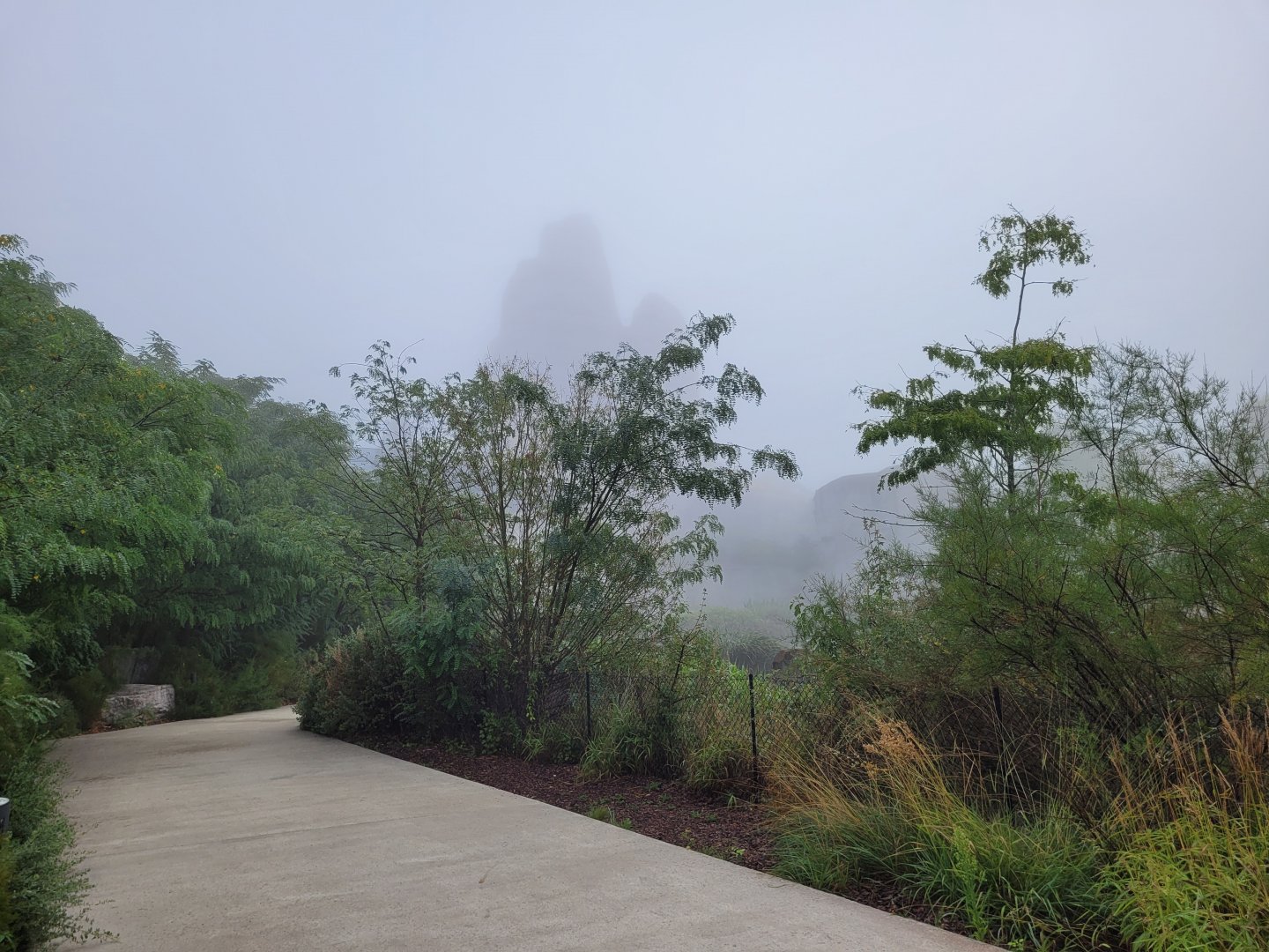 The "Grand Rocher" behind the fog -Parc Zoologique de Paris (2022)