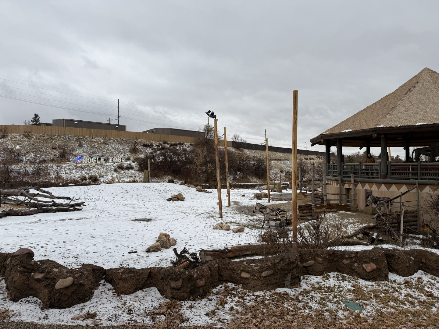 The Grasslands - African Savanna