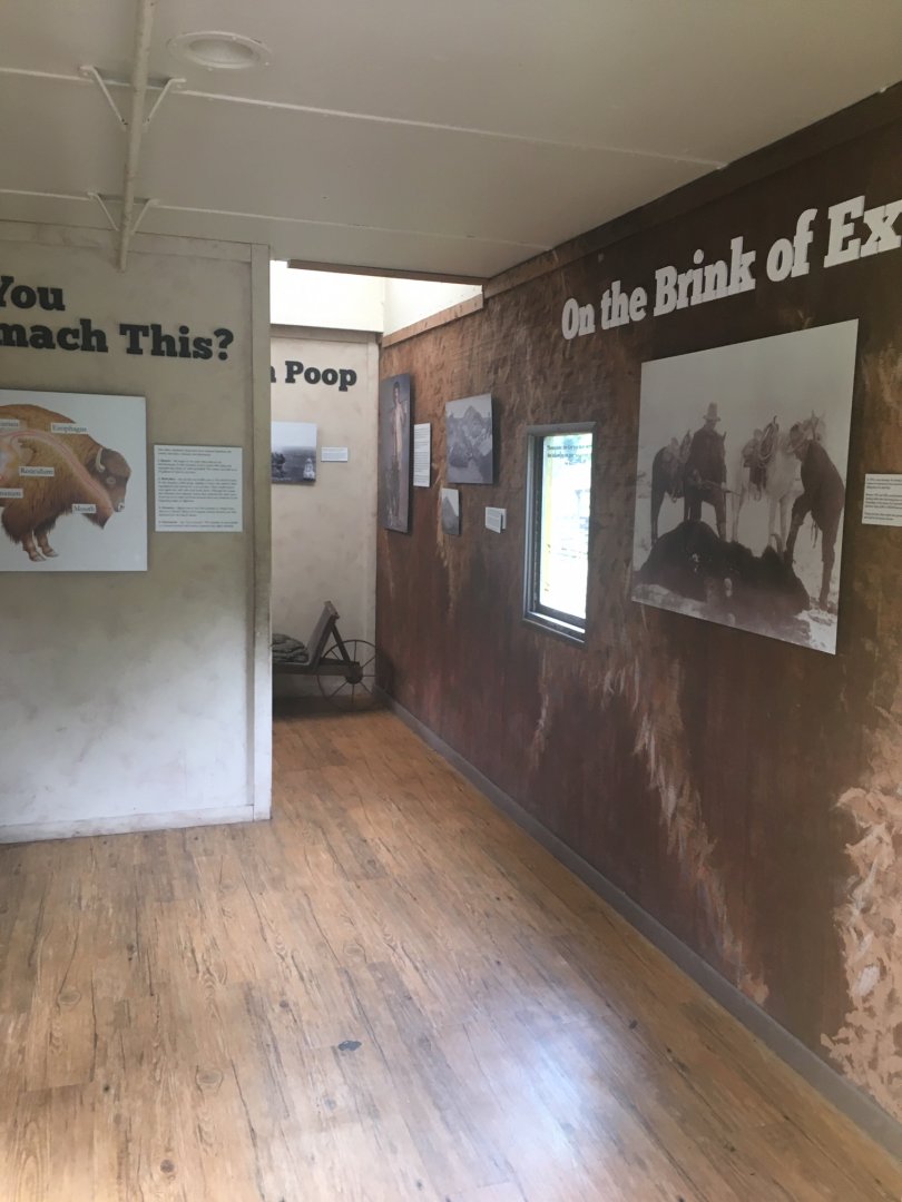 The Grasslands - Train Car interior