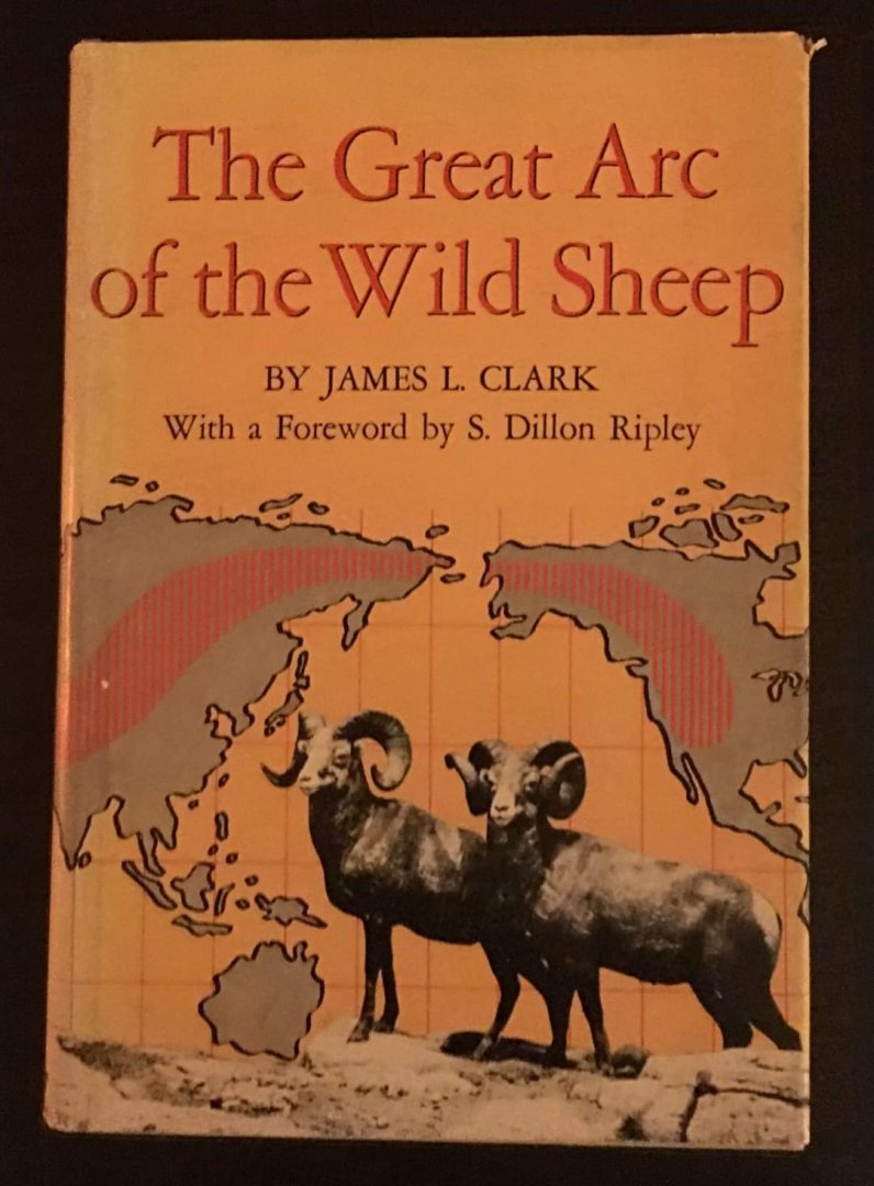 The Great Arc of the Wild Sheep