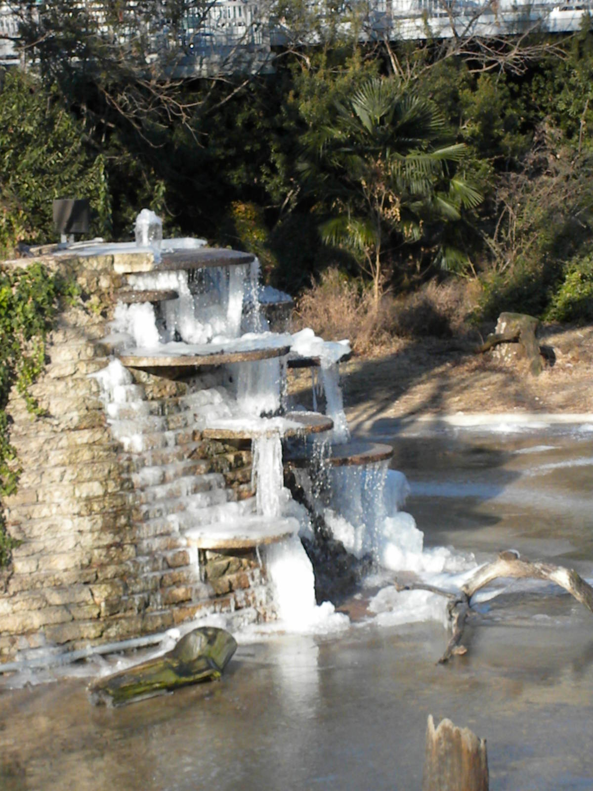 The great blizard of '10